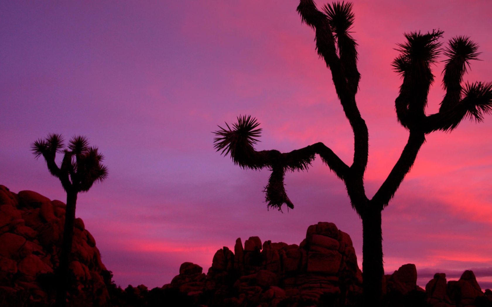 Национальный парк Калифорнии закат солнца