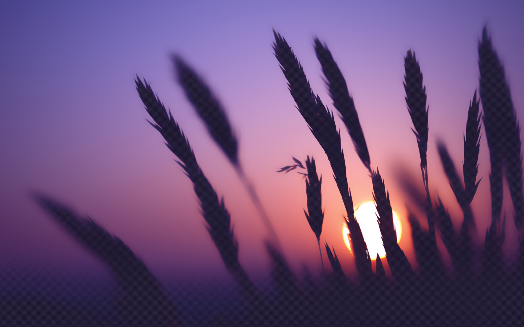 Время заката