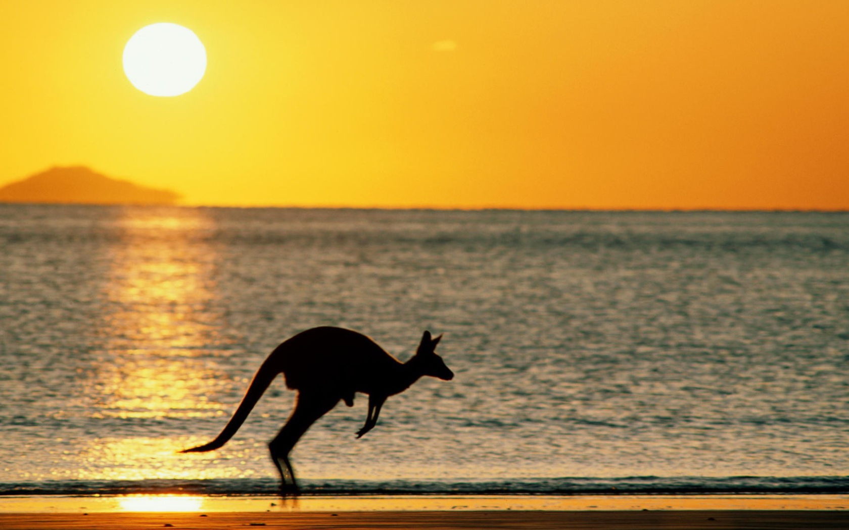 Закат с кенгуру