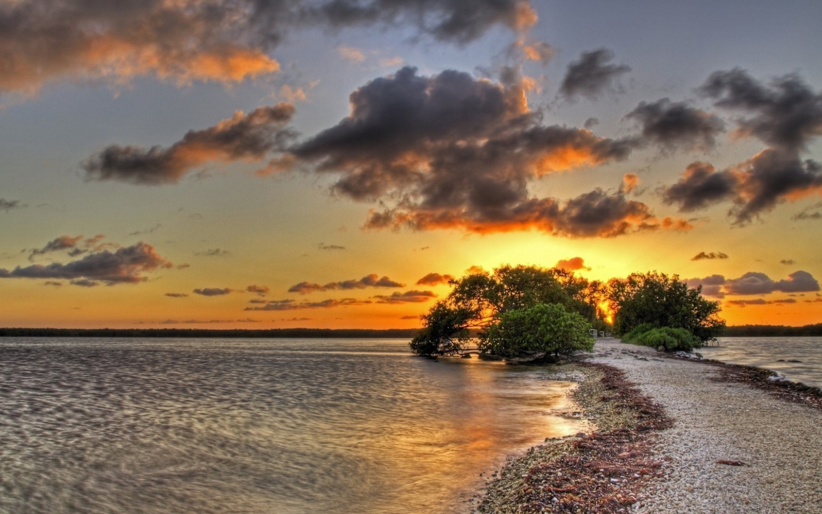 Закат над озером за деревом
