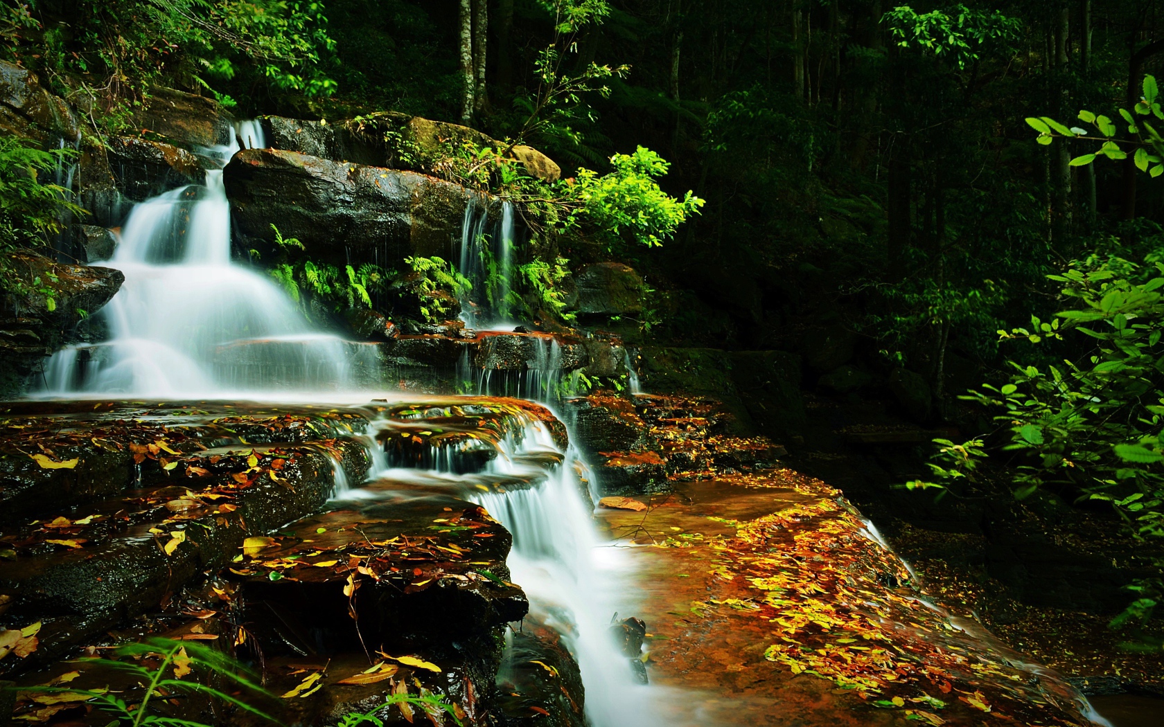 Ручей с водопадом