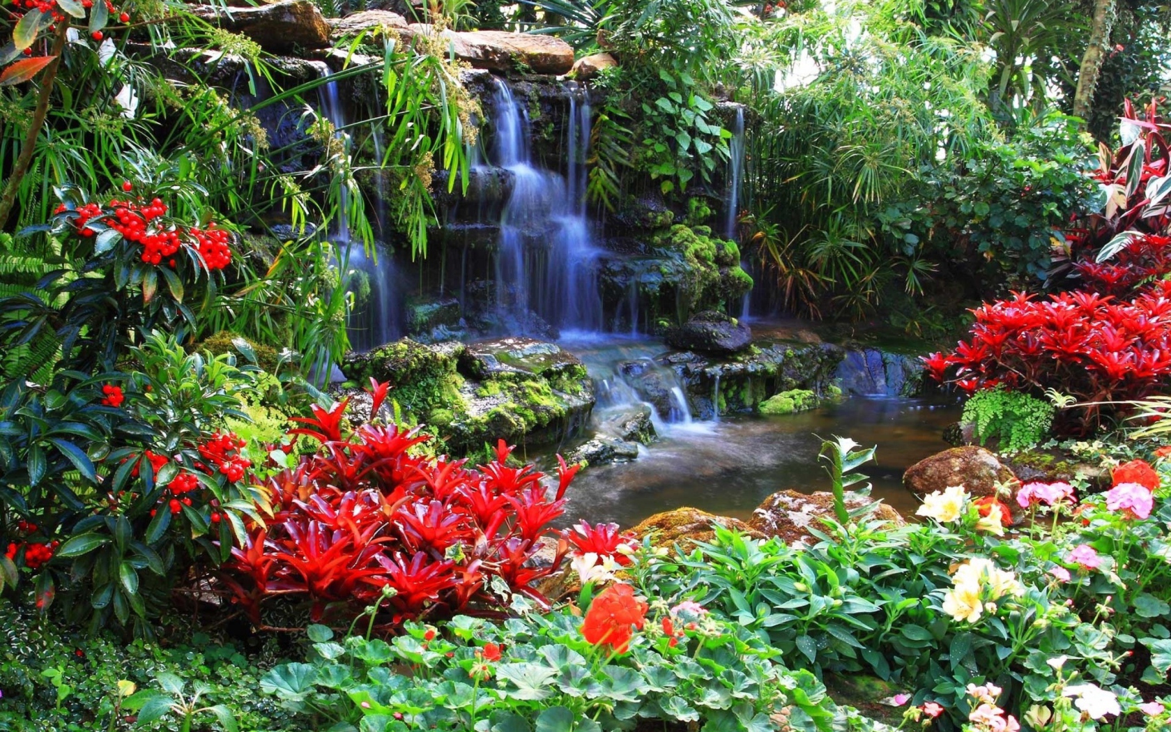 Red flowers at the waterfall