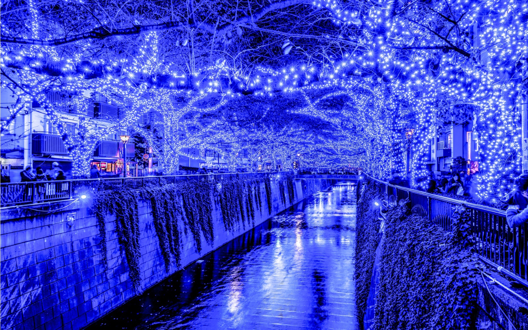 Новогодняя иллюминация в Токио