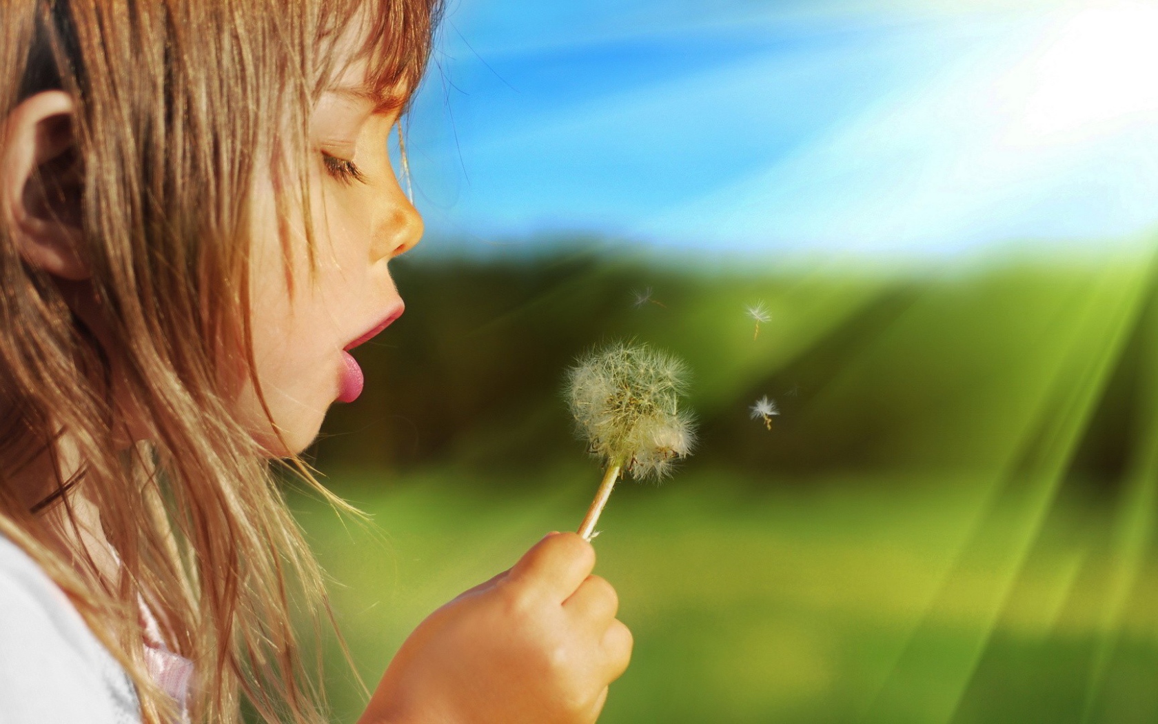 Девочка дует на одуванчик