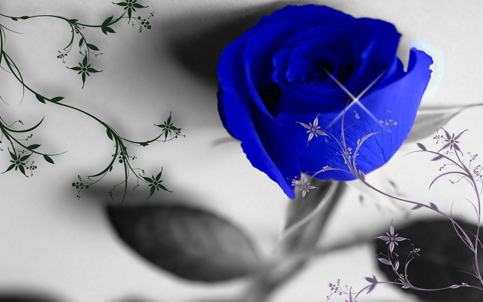 Синяя роза и узоры