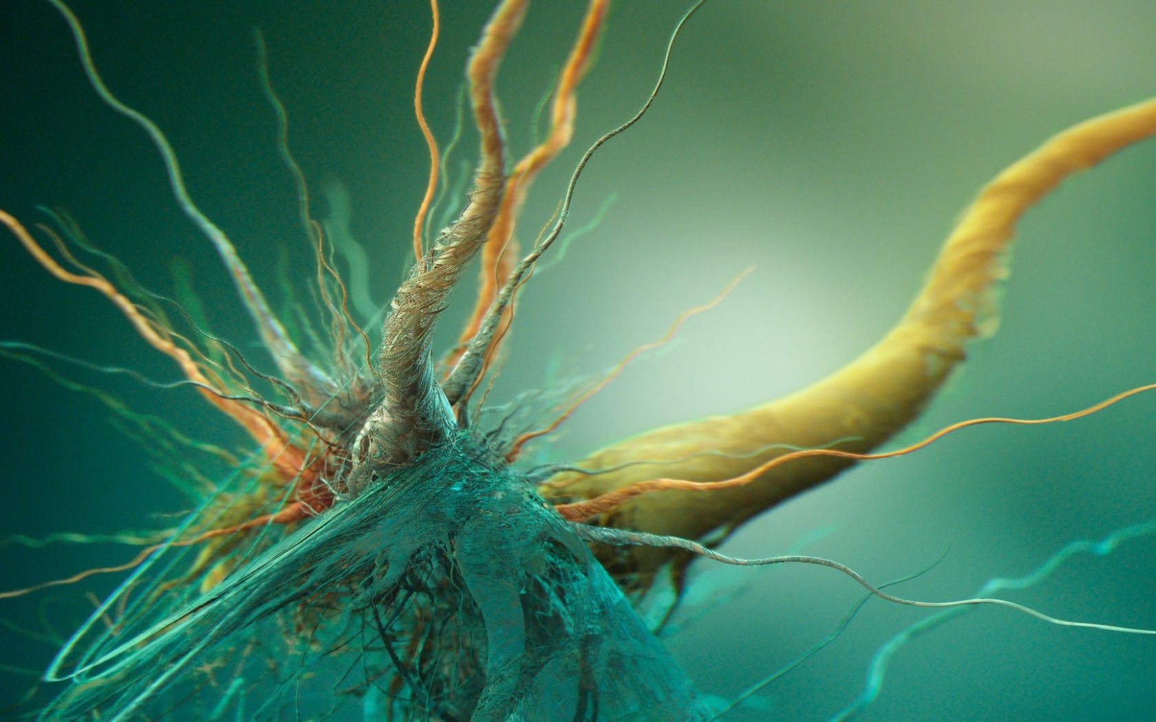 Сплетение корней