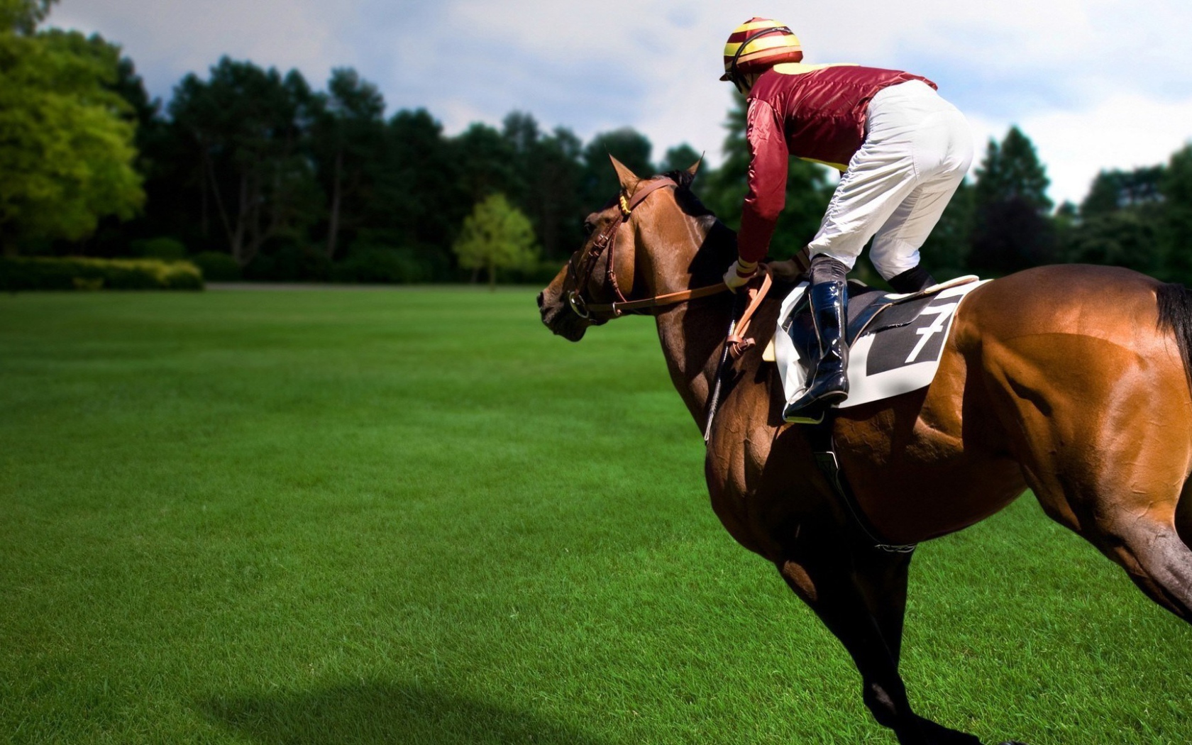 Конный спорт