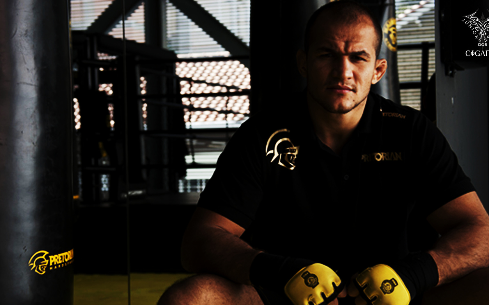 Популярный боец Джуниор Дос Сантос