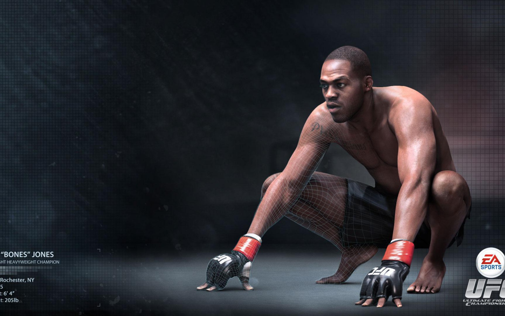 УФЦ  Боец Джон Джонс