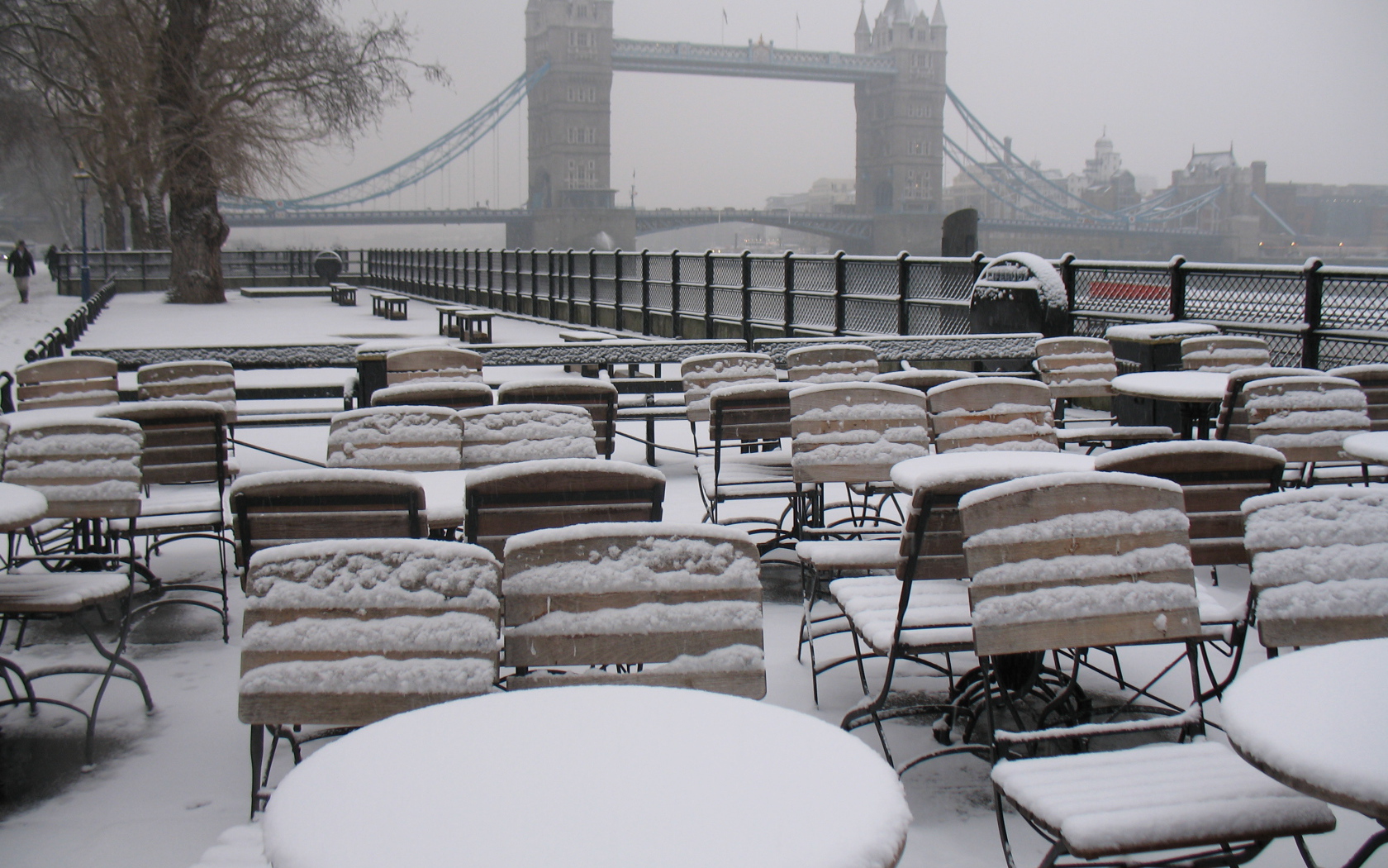 Snow in London cafe