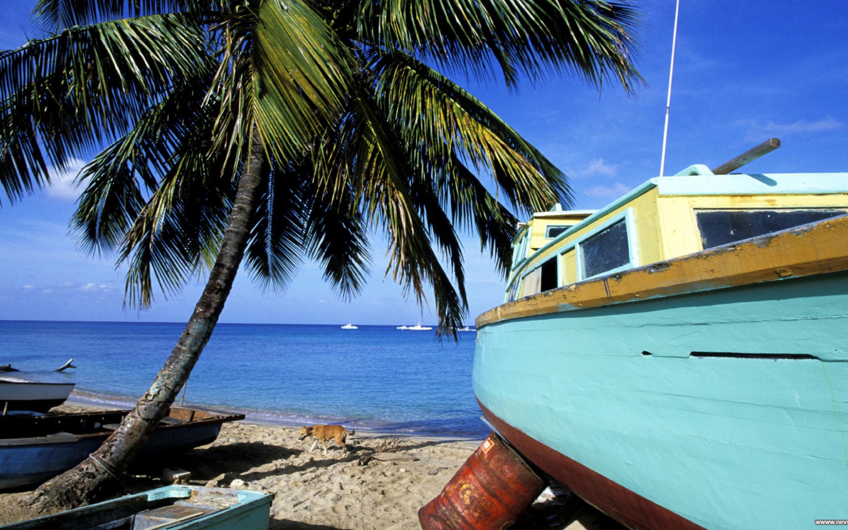 Впечатляющие Барбадос