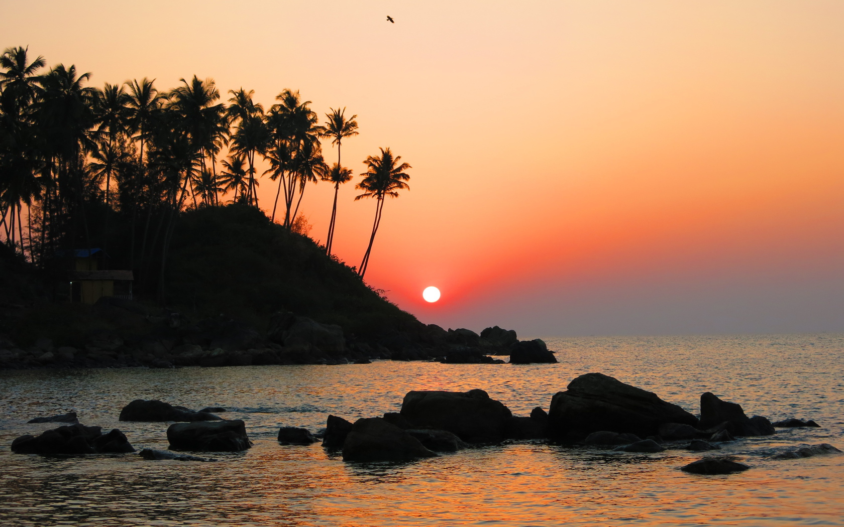 Вечер в Арамболе