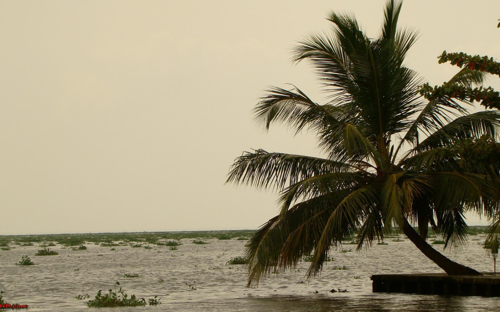 Весенний отпуск в Алапуже
