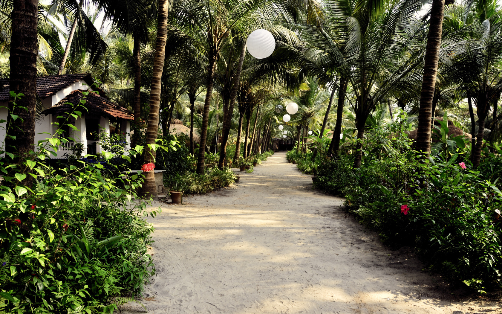 Прогулка по улицам Ашвема