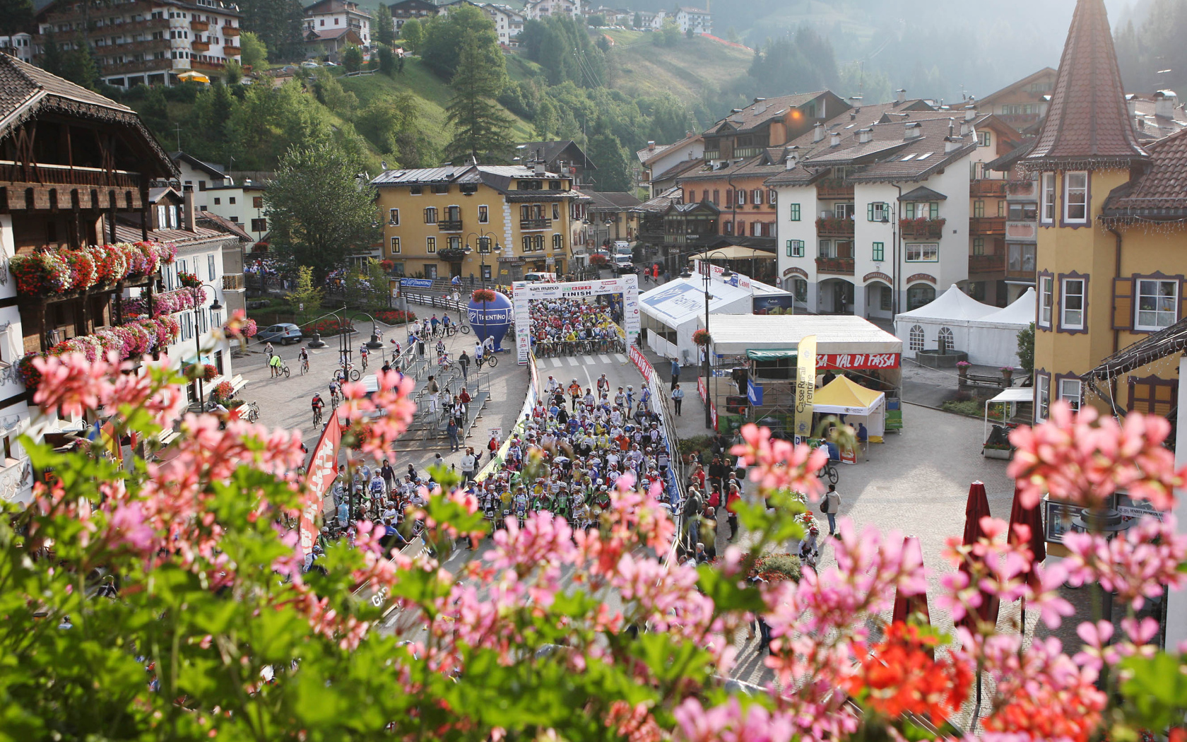 Цветы на горнолыжном курорте Валь-Ди-Фаса, Италия