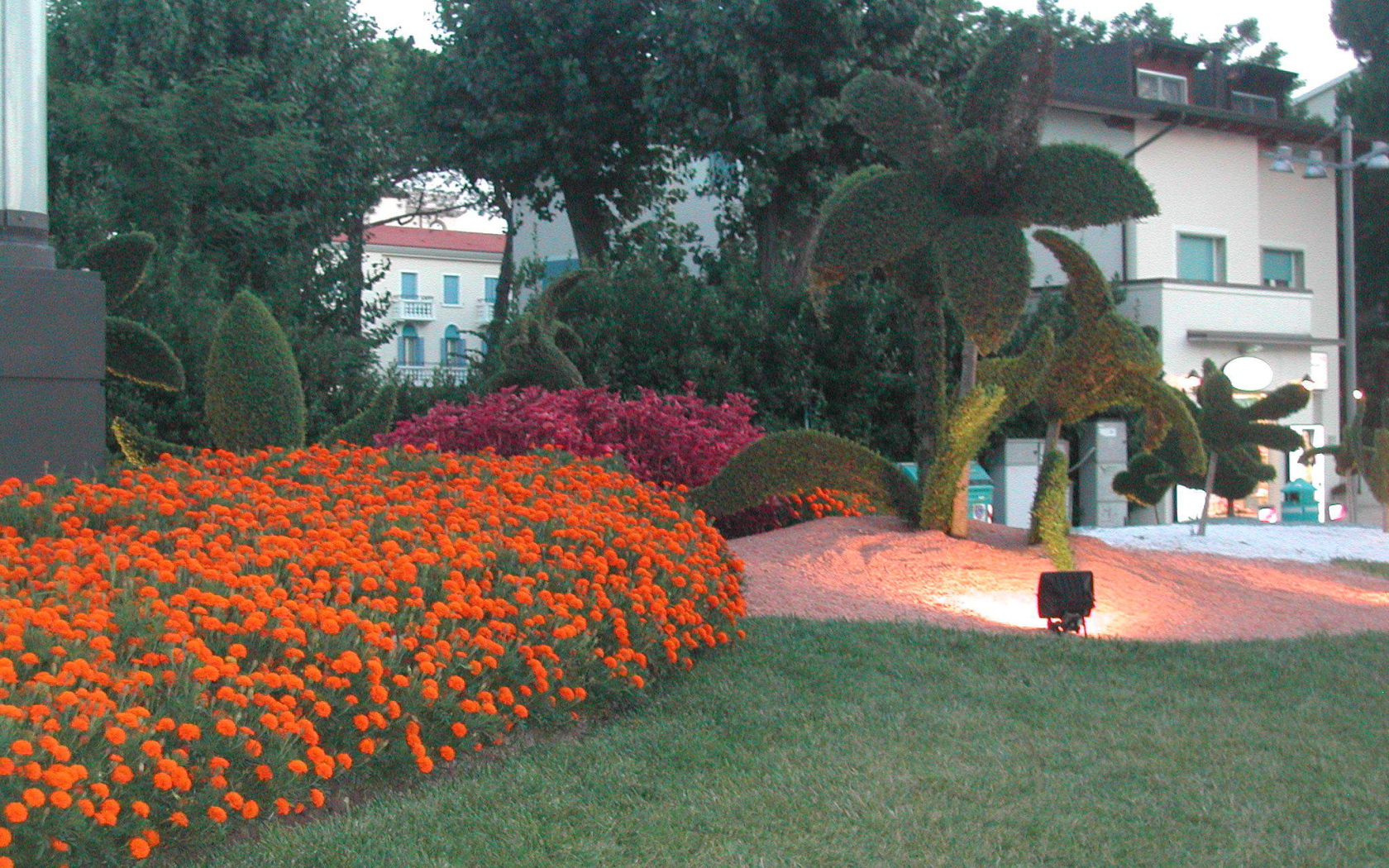 Великолепный сад на курорте Лидо ди Езоло, Италия