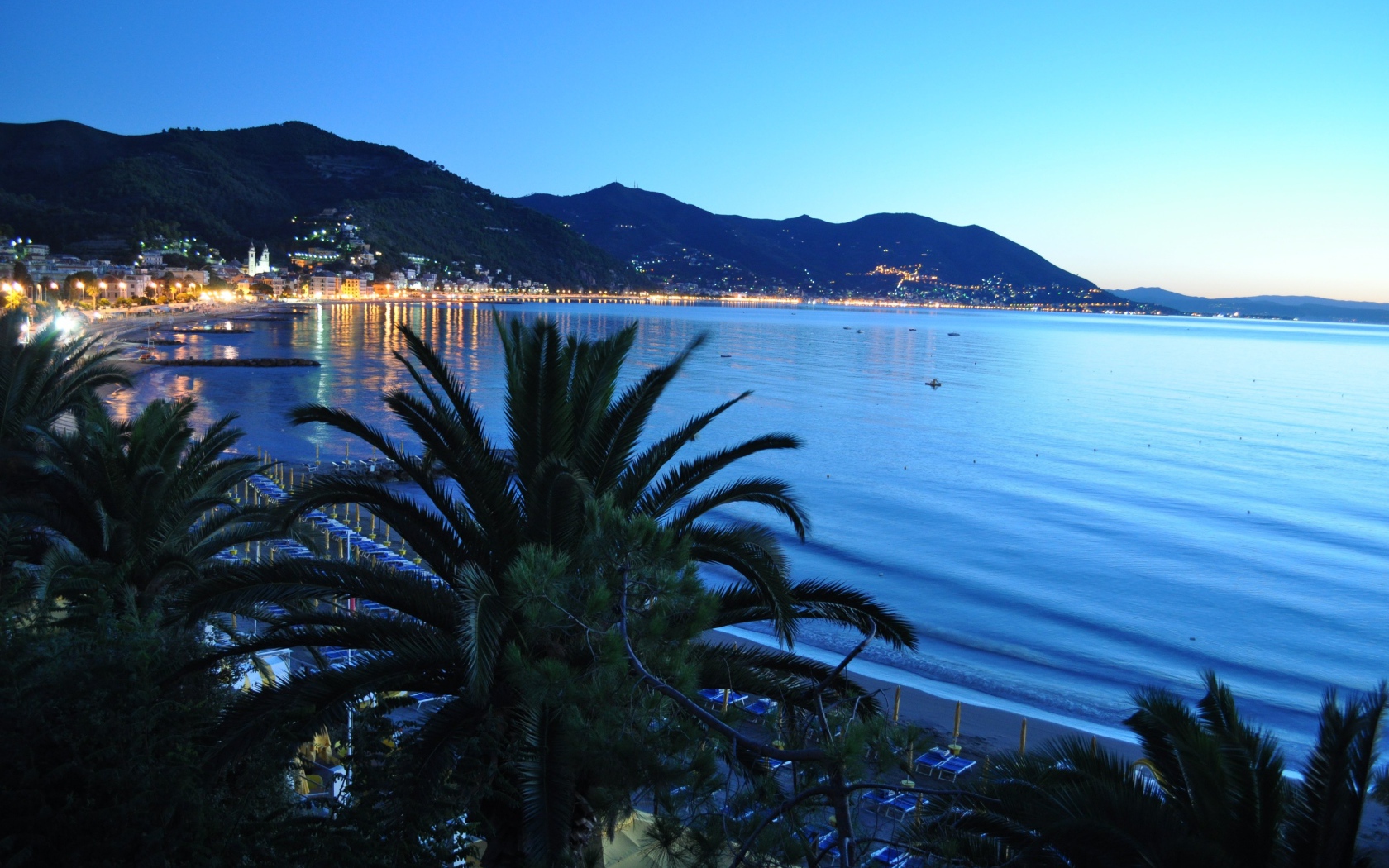 Пальма на фоне залива в Лигурии, Италия