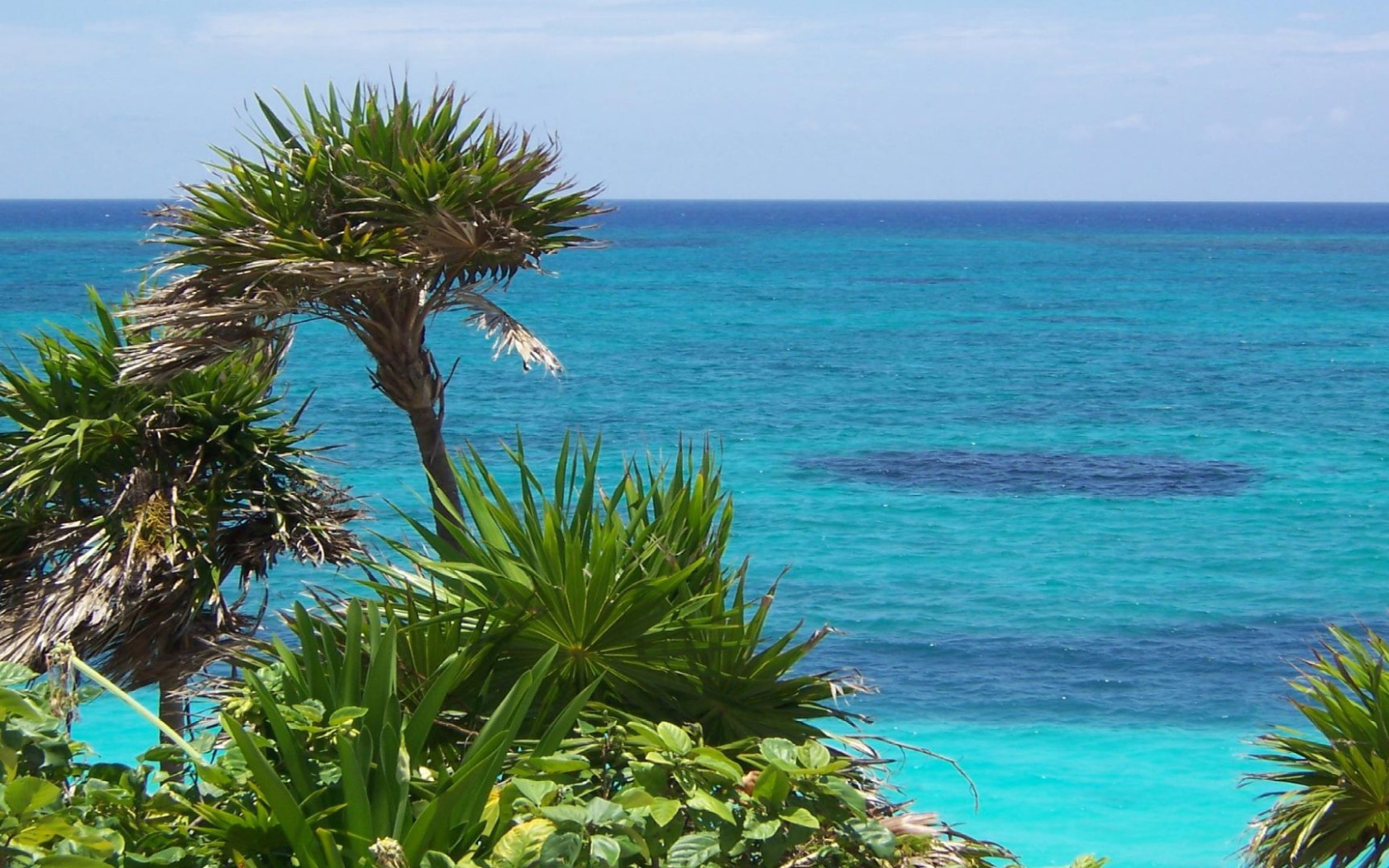 Солнечное Мексика