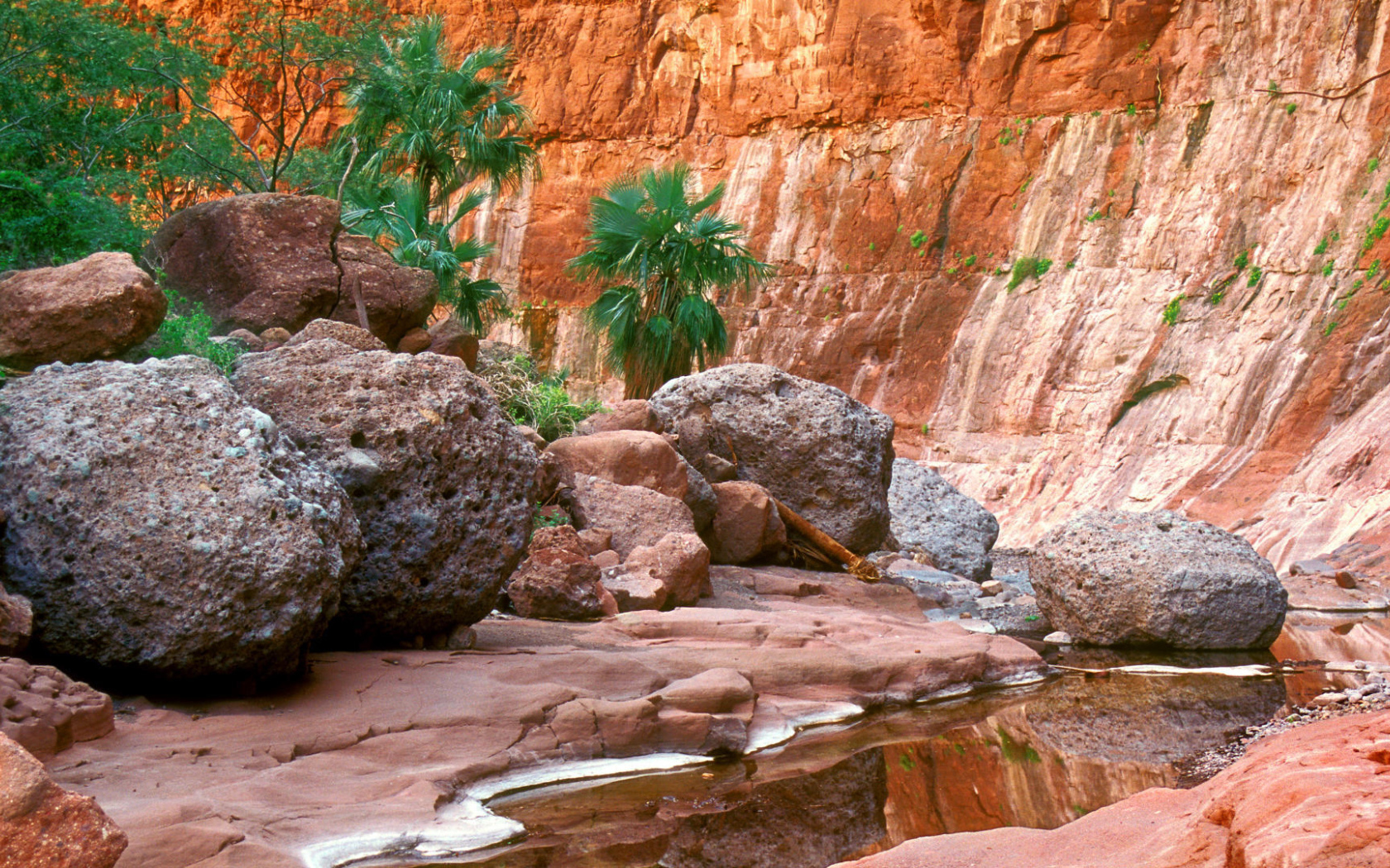 Гран-Плас в Мексика