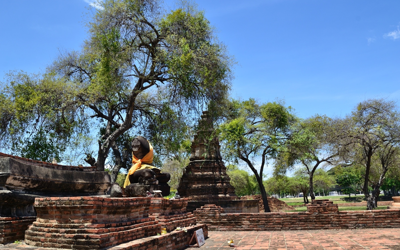 Деревья среди развалин храма на курорте Аютайя, Таиланд