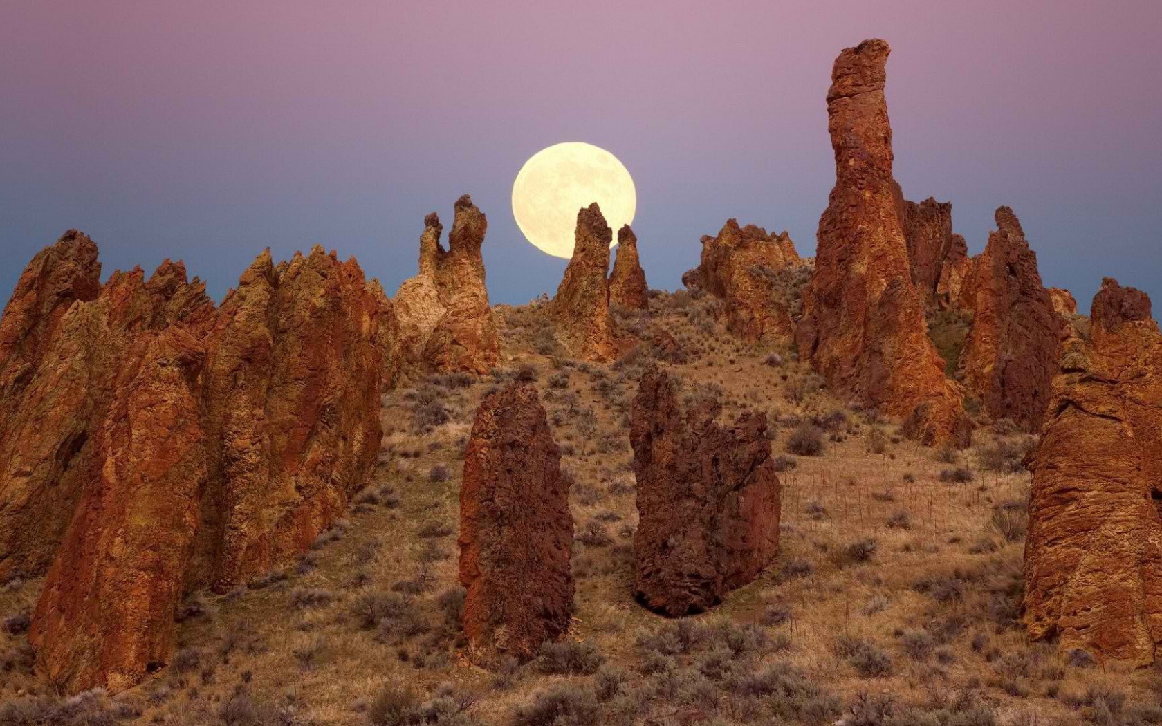 Каменные столбы в Орегоне