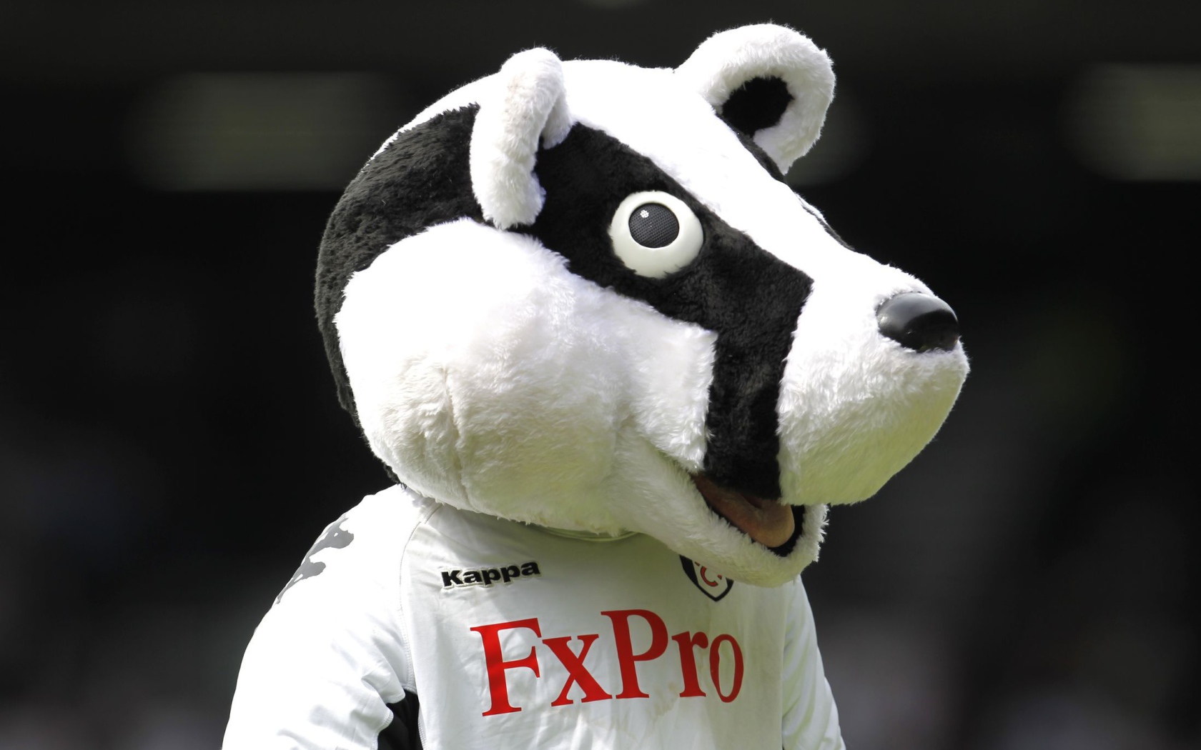 Лучший Футбольный клуб Фулхэм