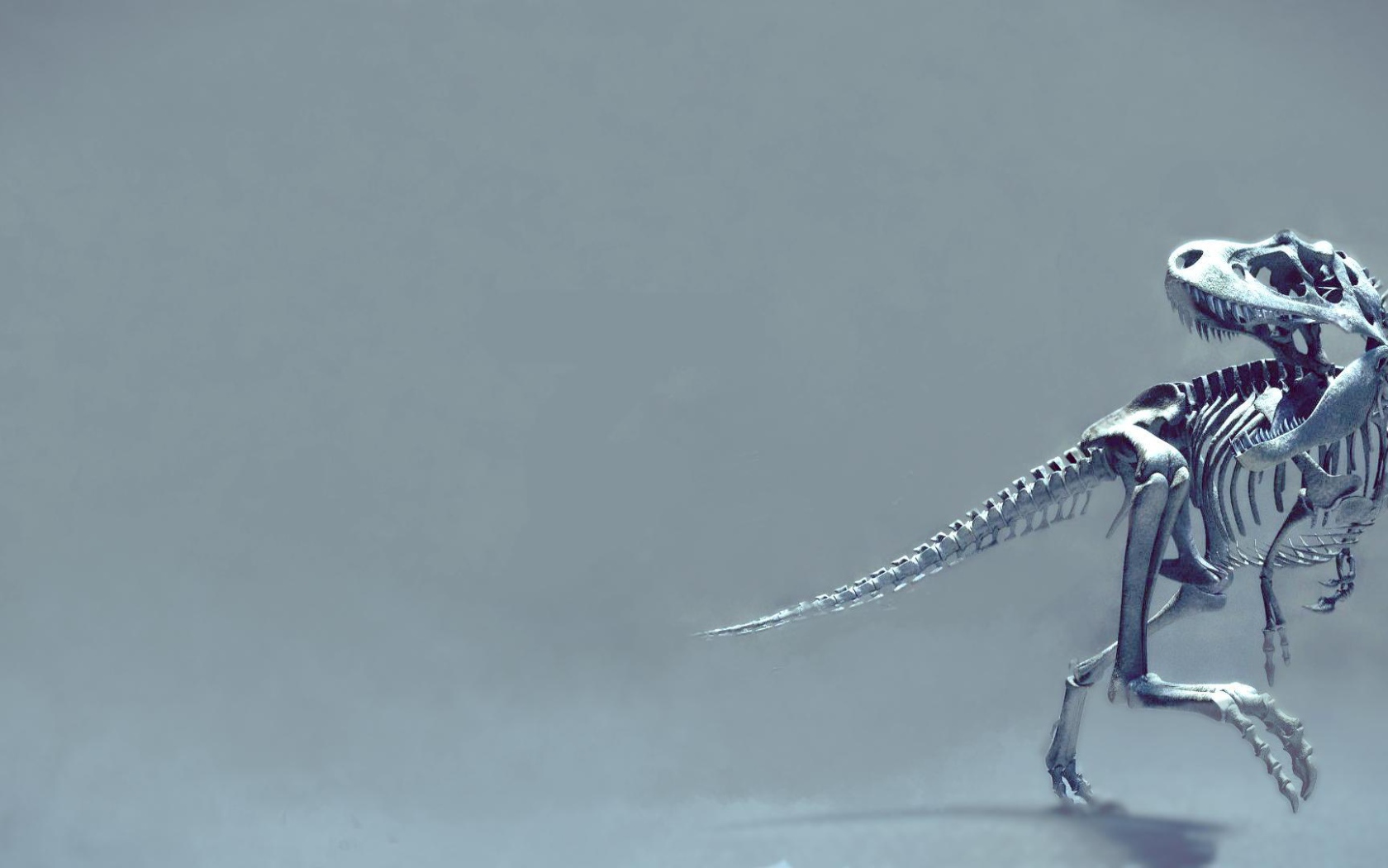 Скелет динозавра