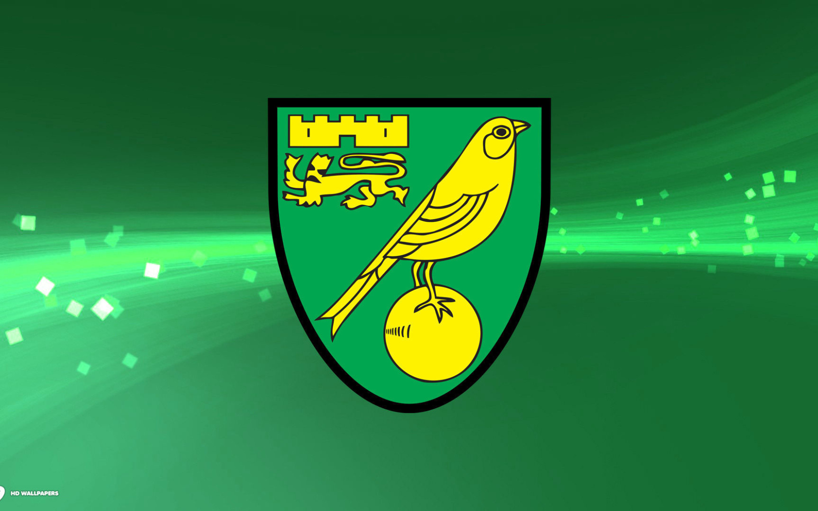 Известный Футбольный клуб Норвич