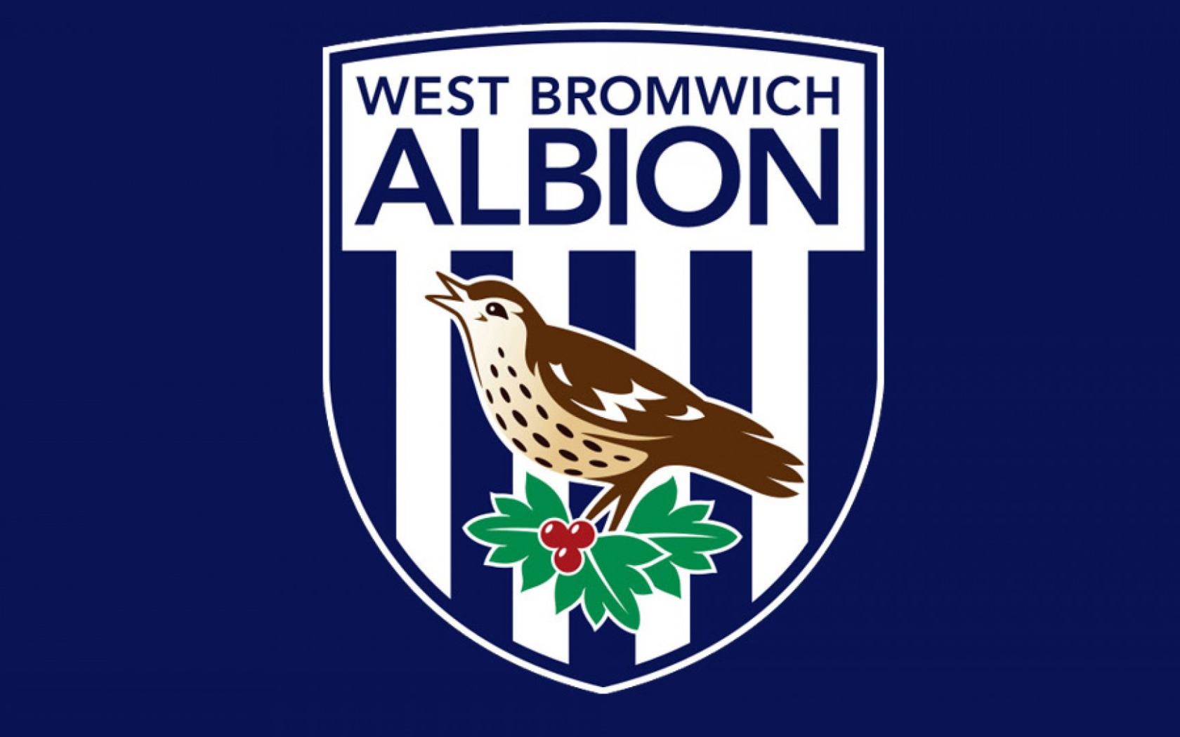 Football club england West Bromwich Albion