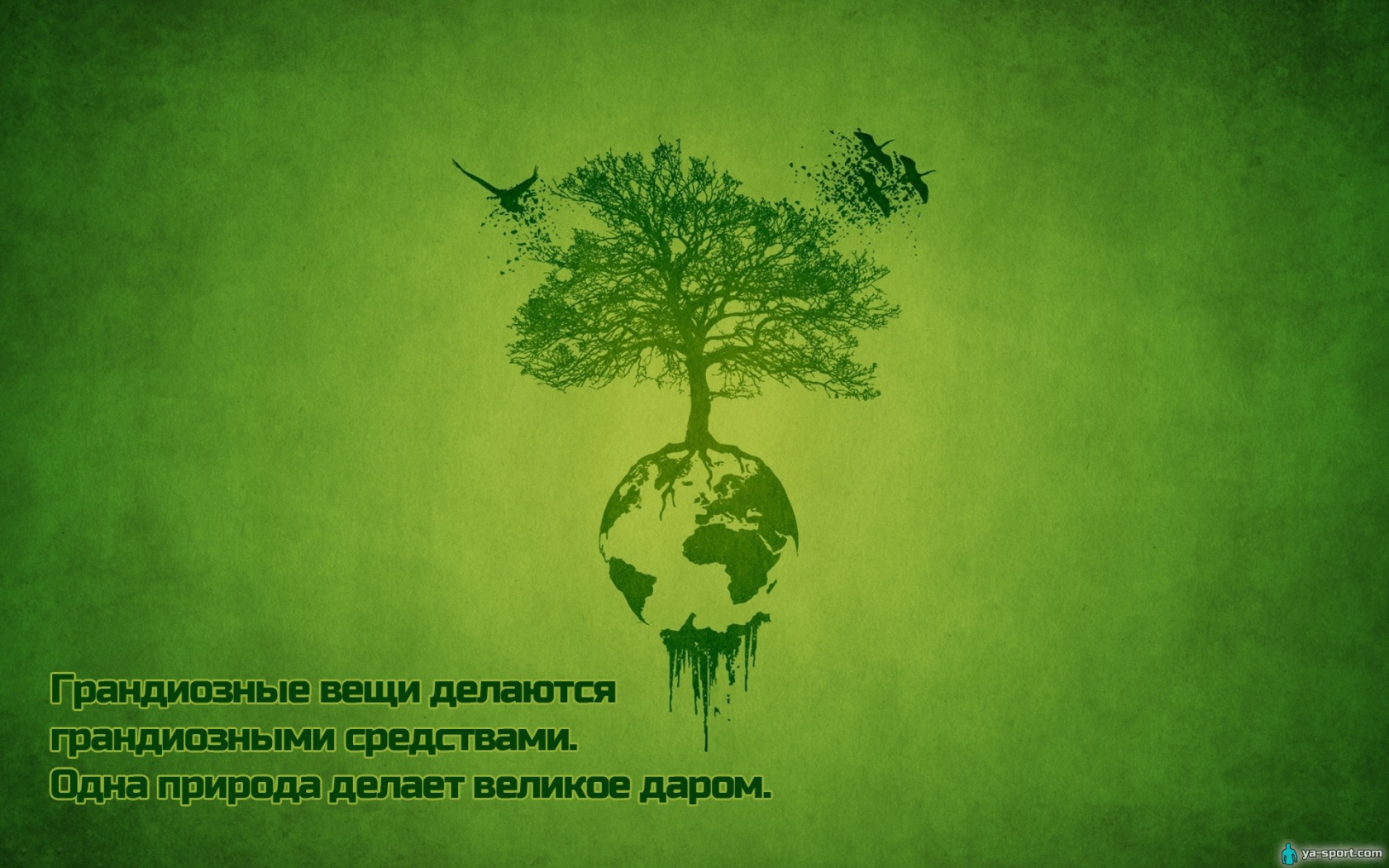 Сила природы для всех