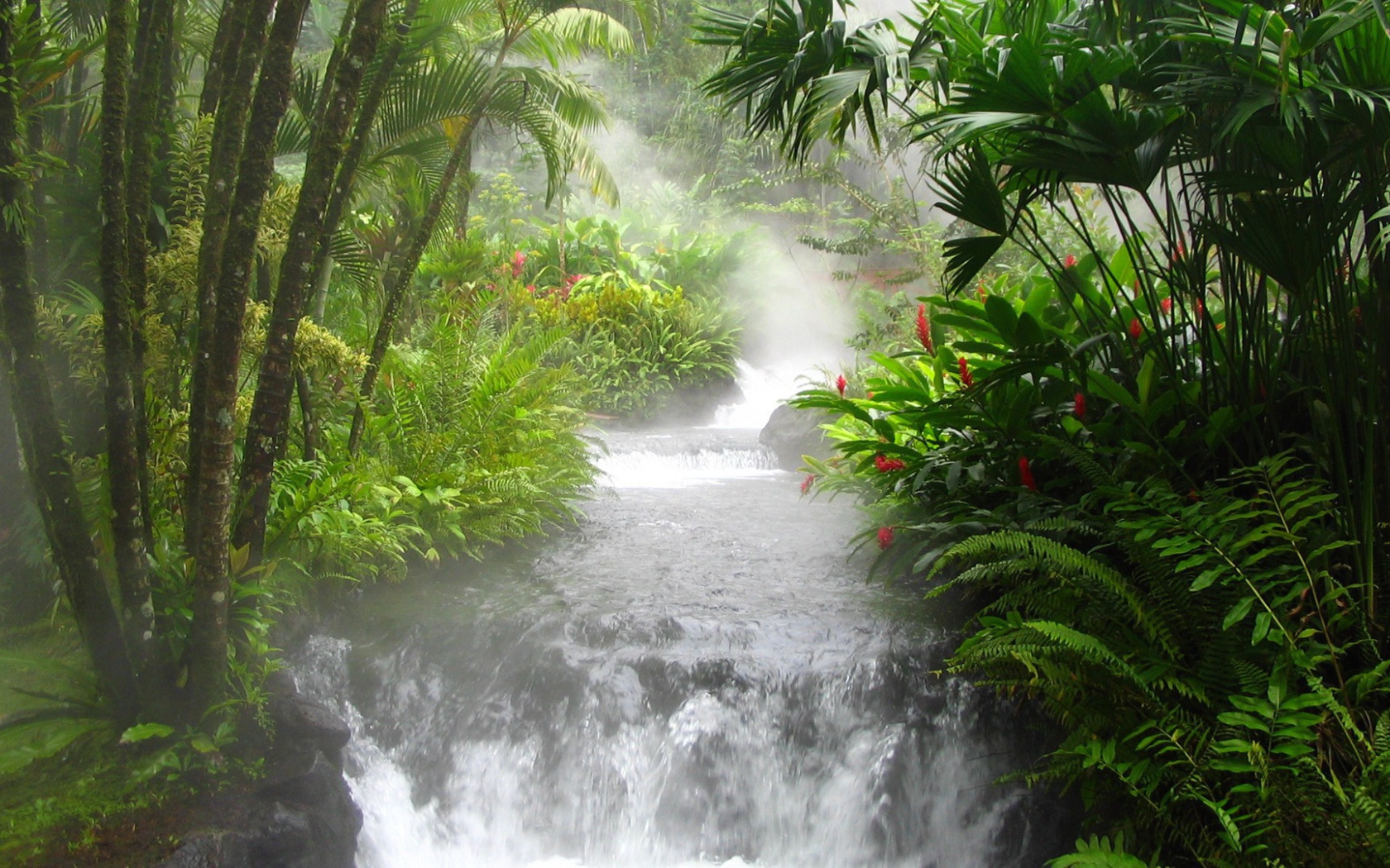 Река горячей воды в Коста-Рика