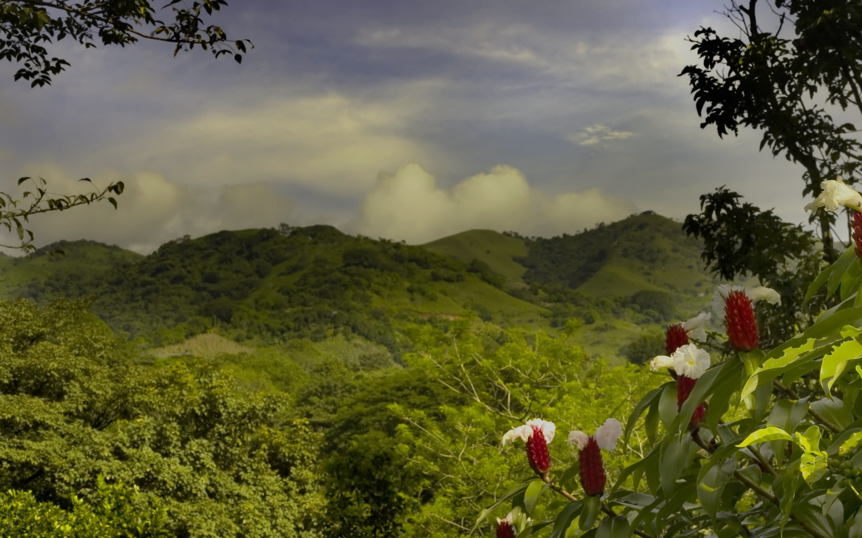 Пейзаж на Коста-Рика