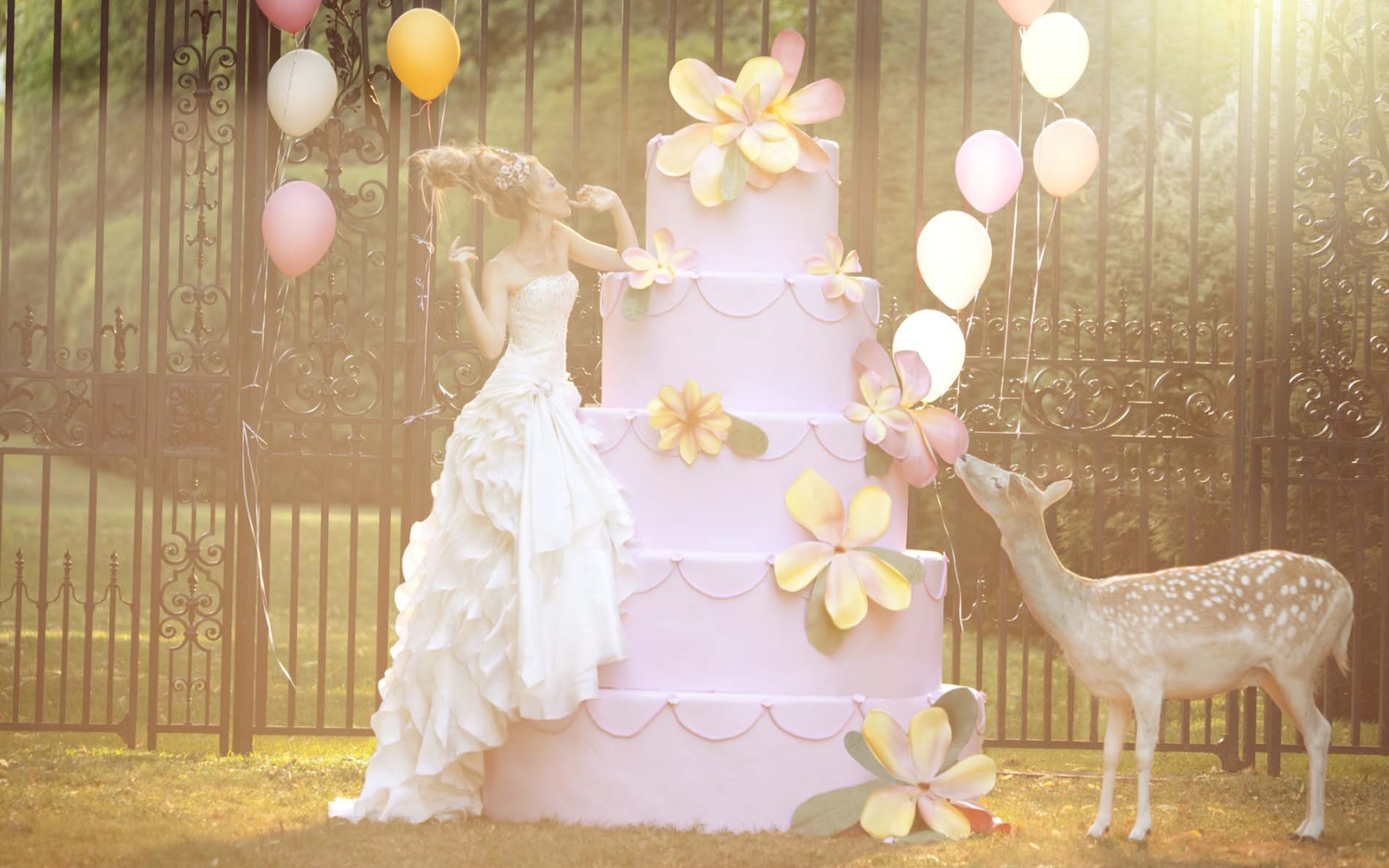 Photography Beautiful girl and a big cake