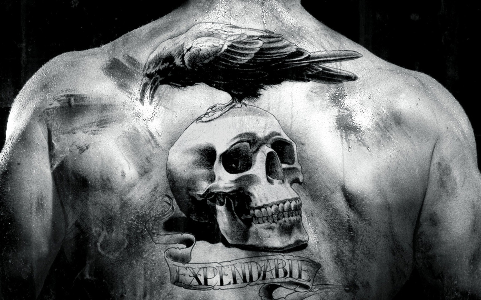 Тату череп на спине