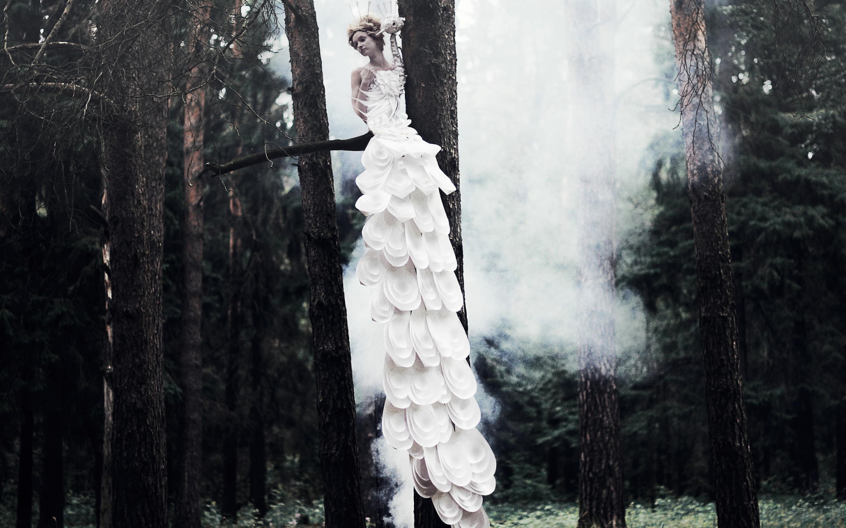 Фотография Девушка на дереве