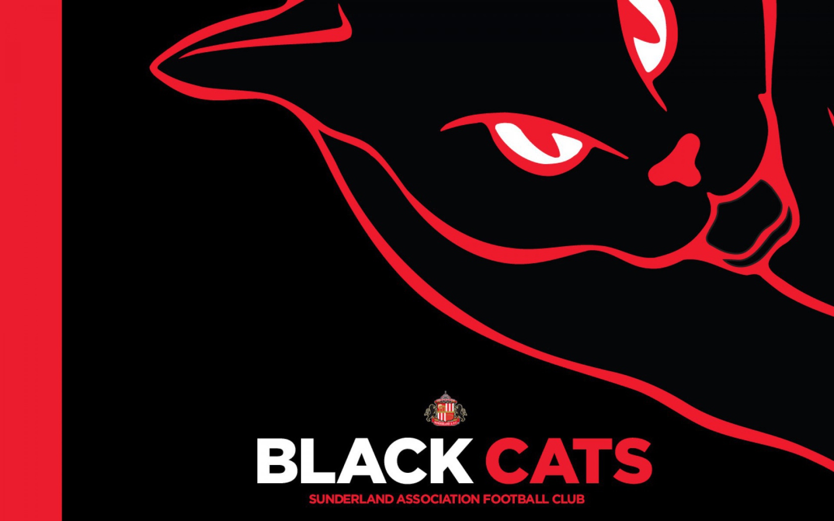 Любимая команда футбола Англии Сандерленд