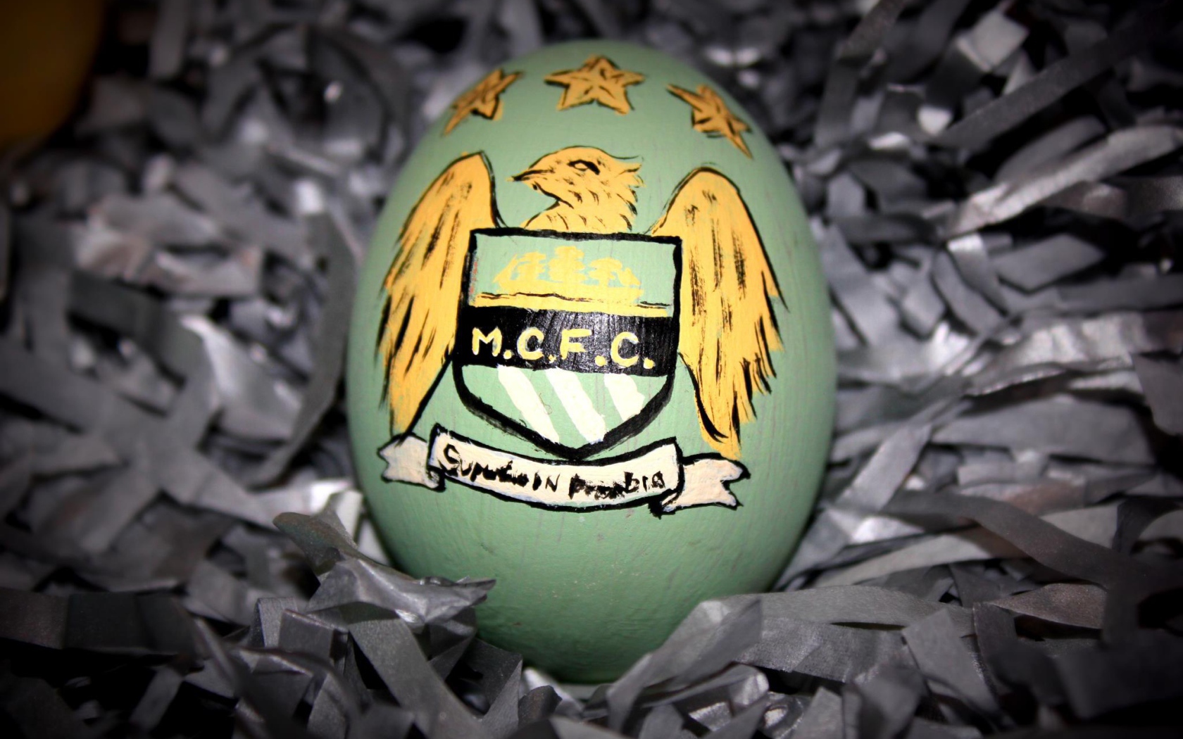 Известная футбольная команда Манчестер Сити