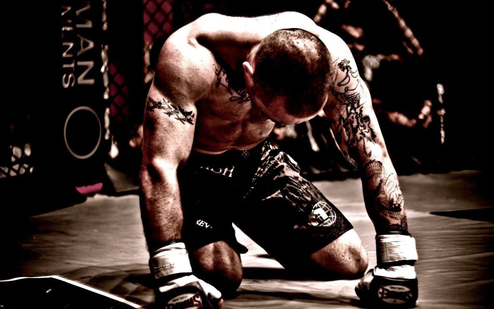 Борец на арене