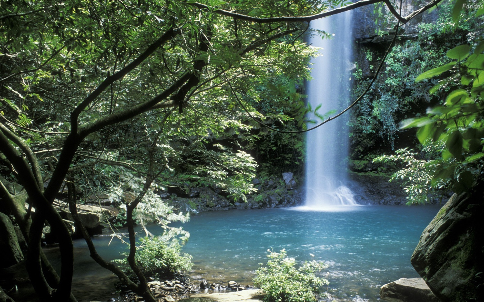 Невероятное место в Коста-Рика 