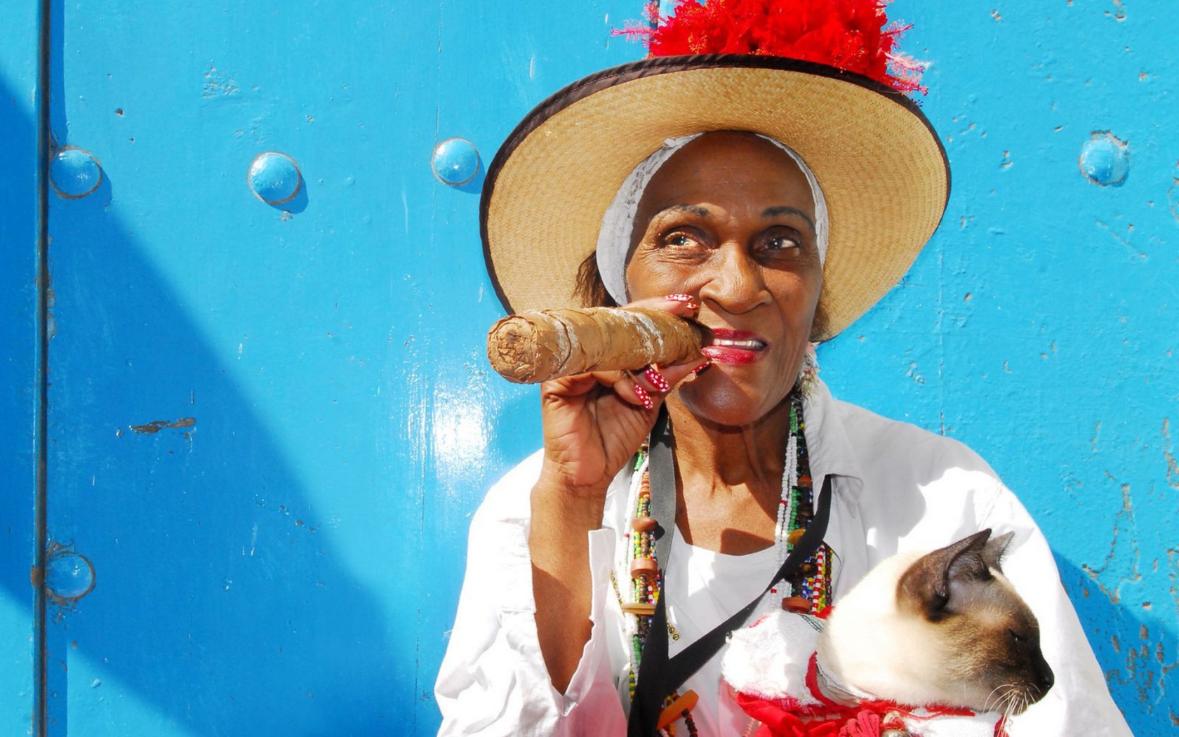 Бабушка с котом и сигарой