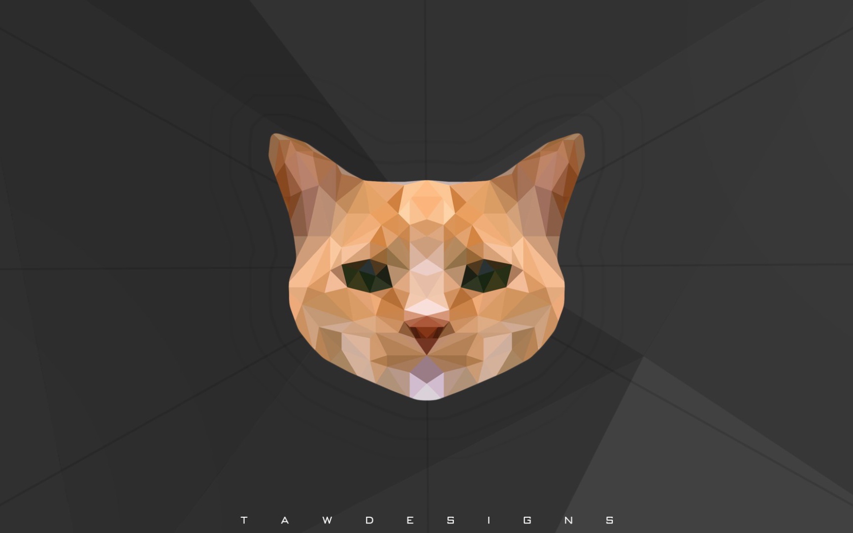 Морда кота, 3-Д графика