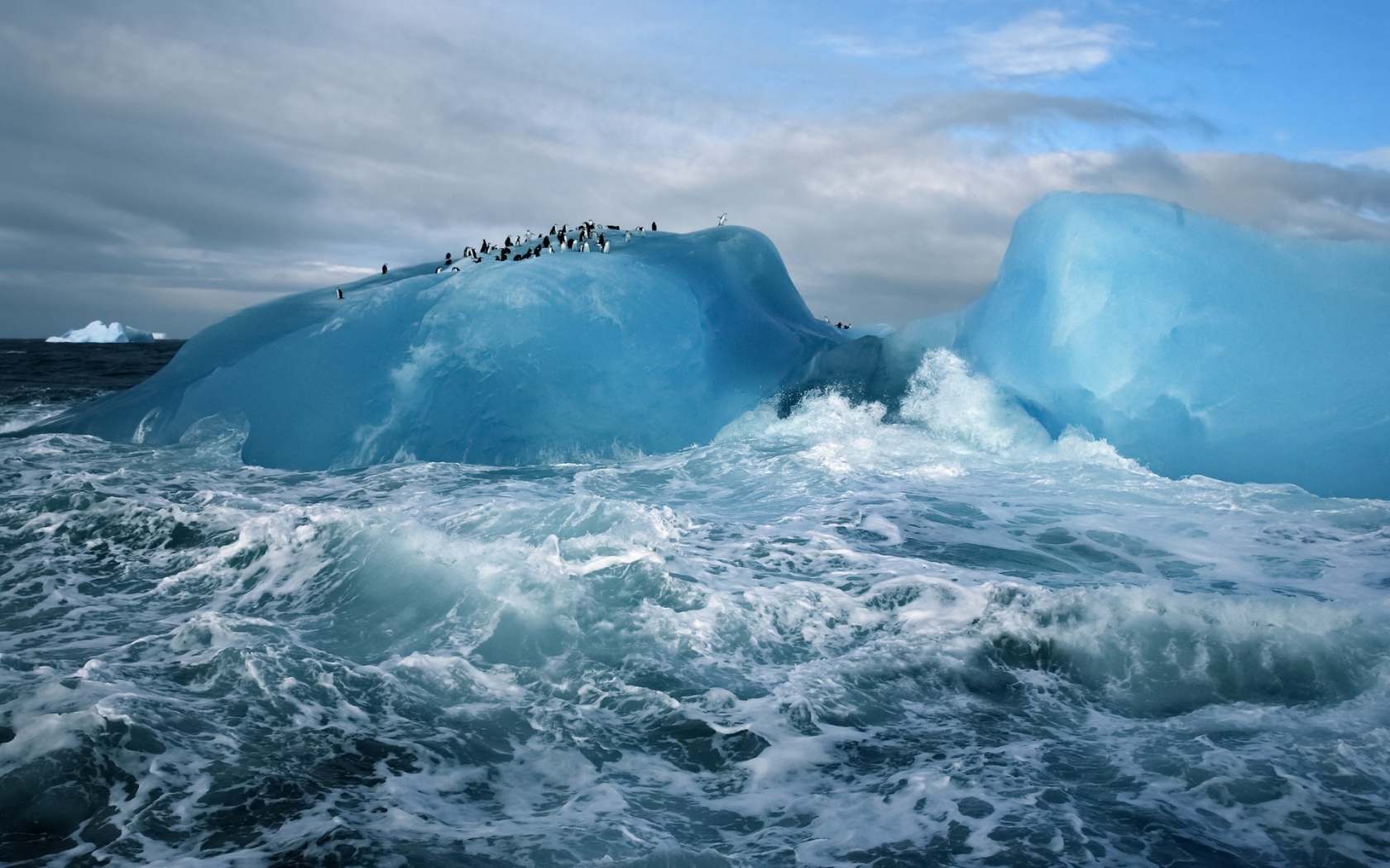 Пингвины на айсберге в бурном море