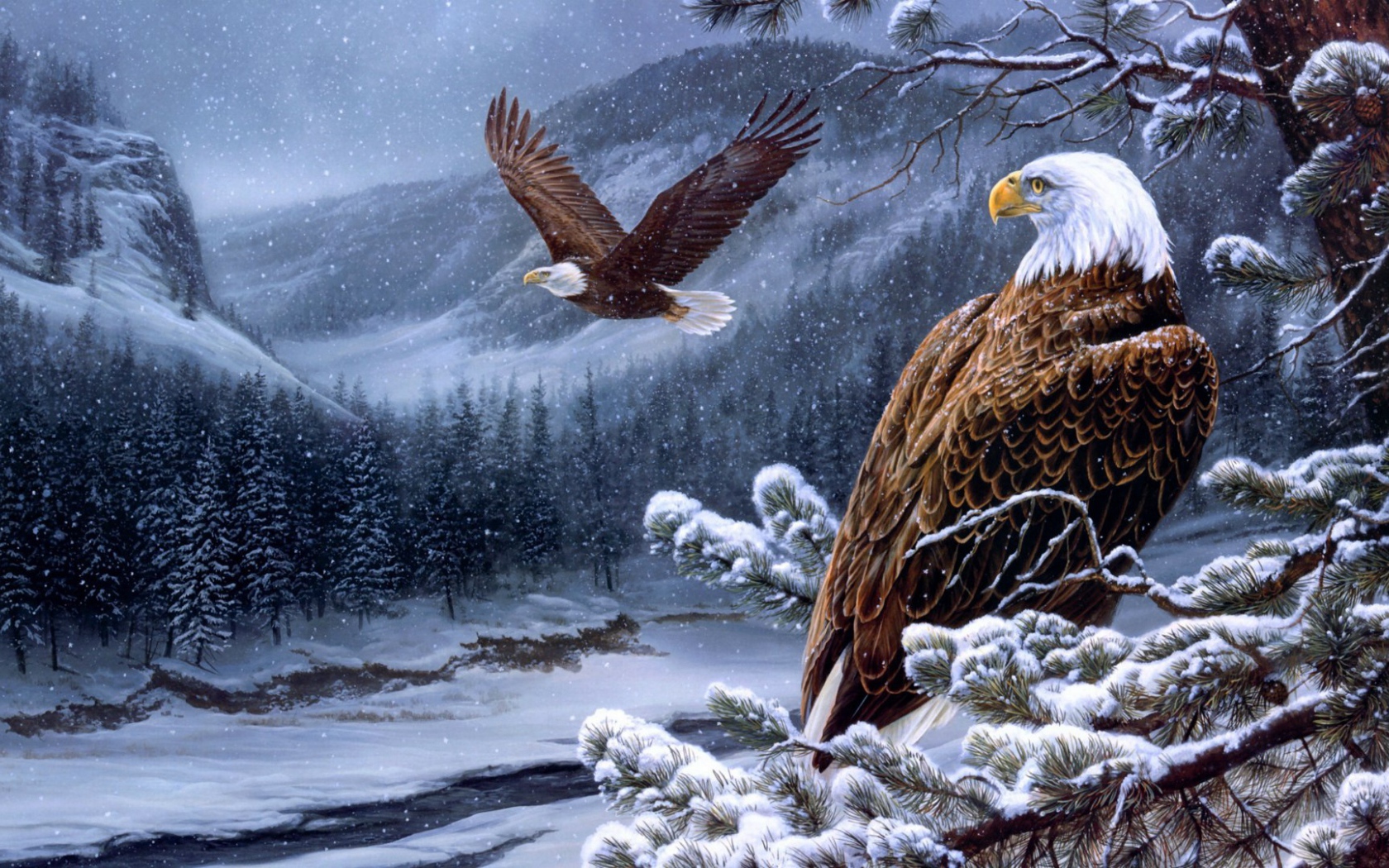 Белоголовые орланы в горах