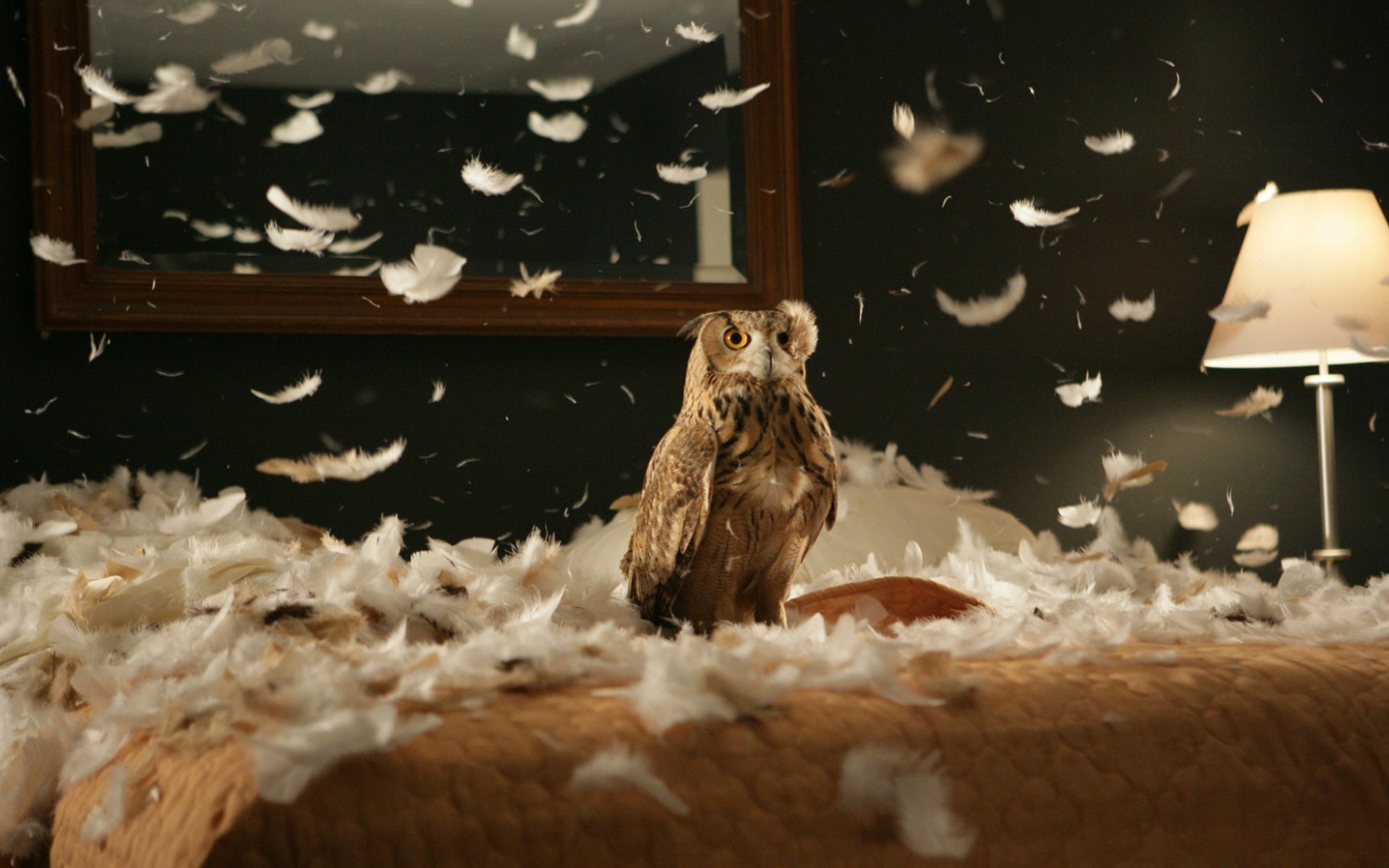 Сова в перьях