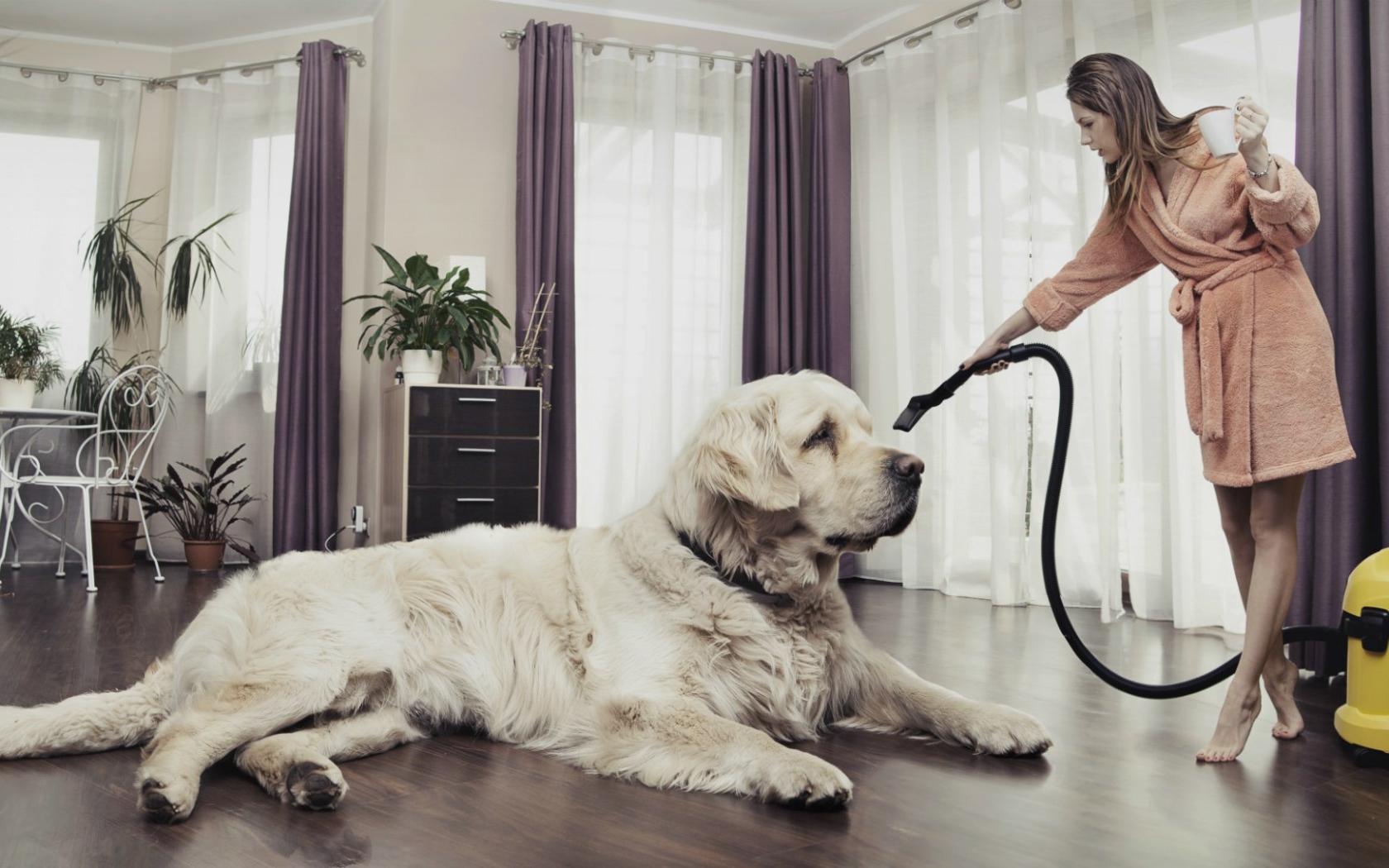 Хозяйка пылесосит собаку