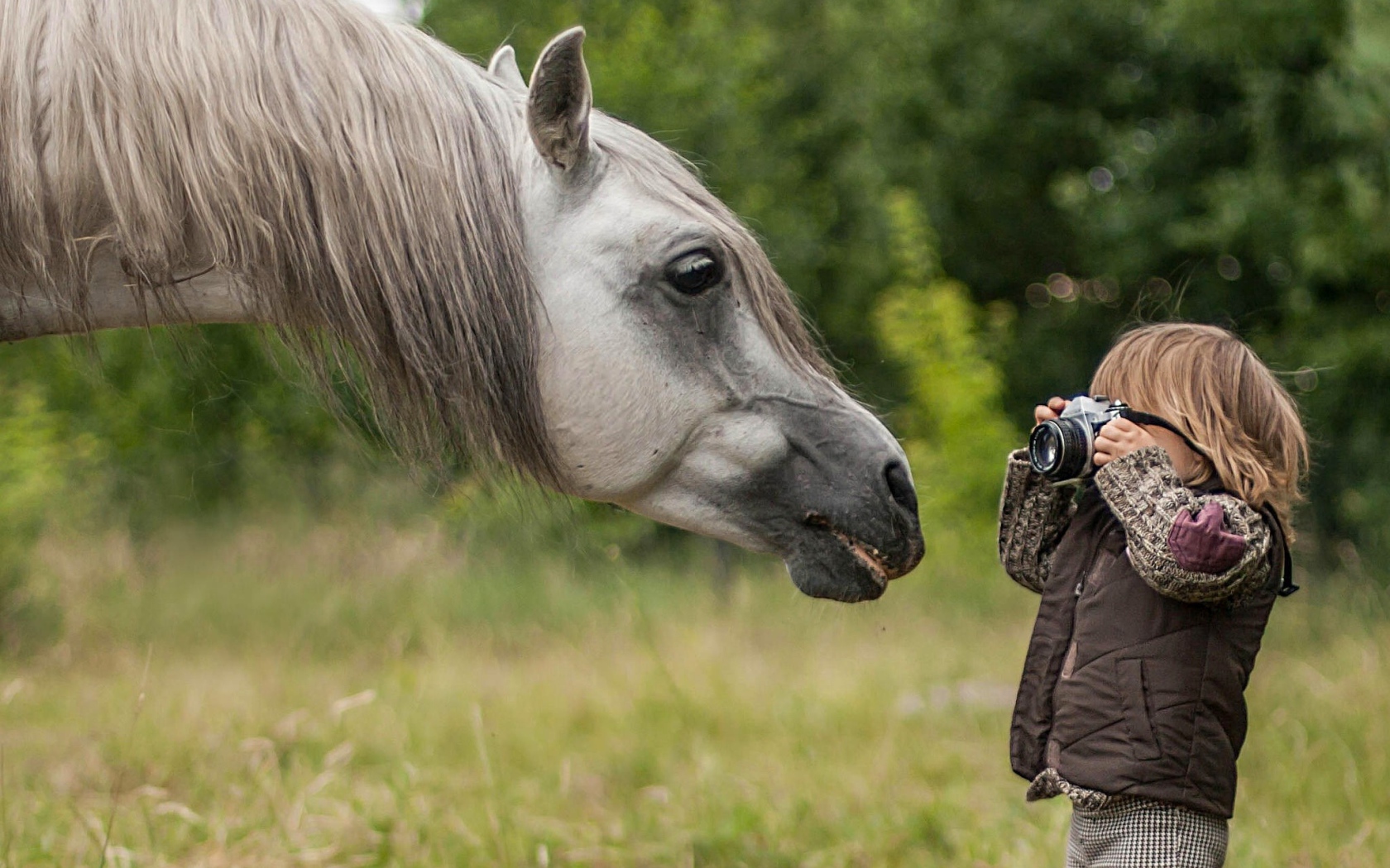 Мальчик фотографирует лошадь