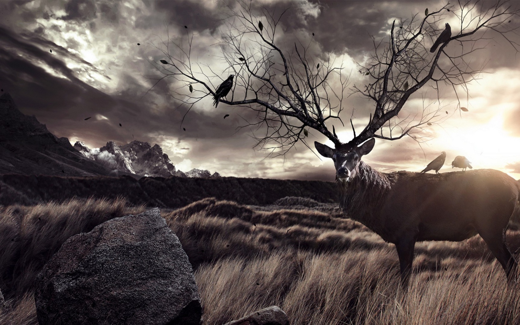 Птицы на ветвистых рогах оленя