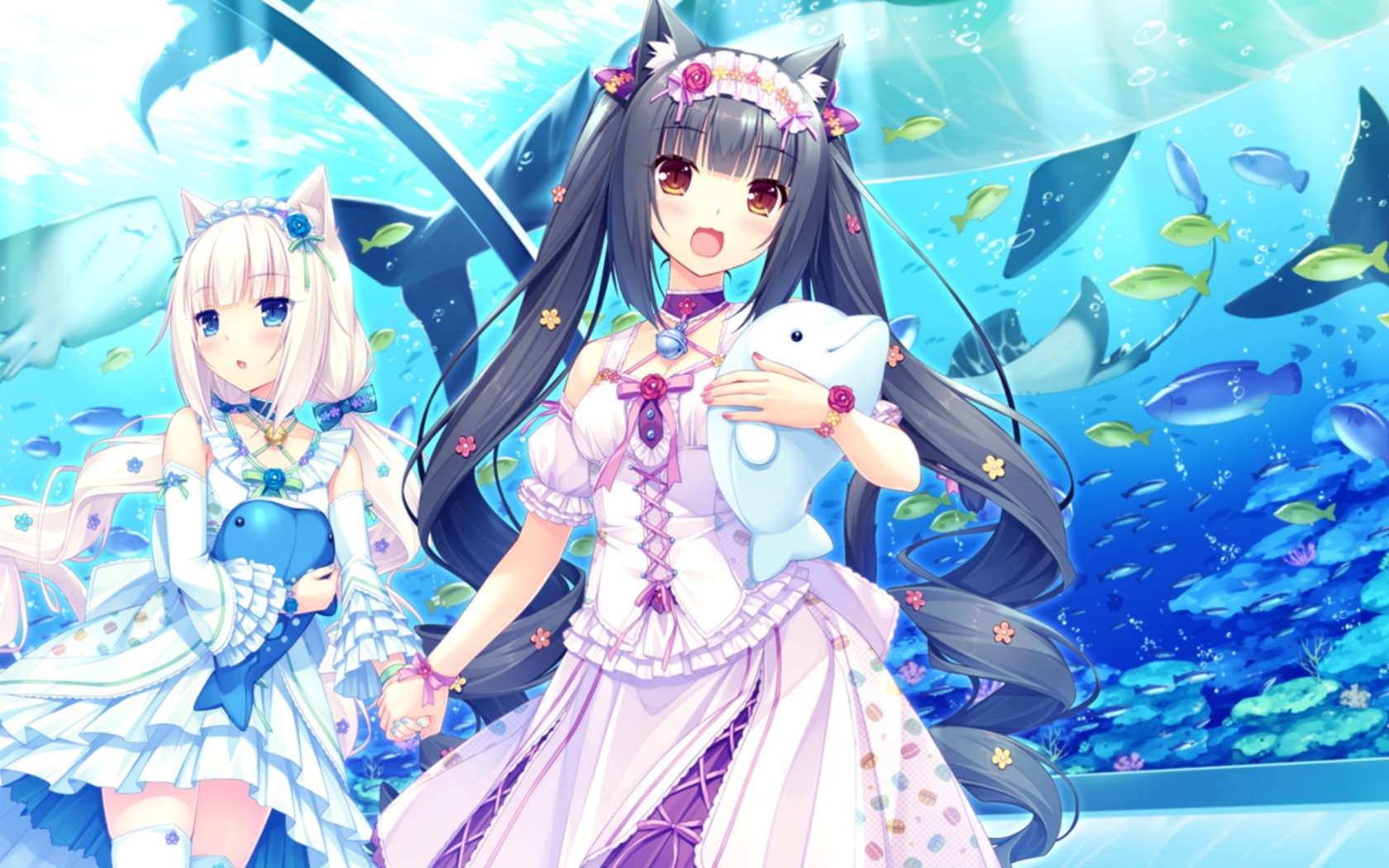 Девушки аниме в океанариуме, Neko Para