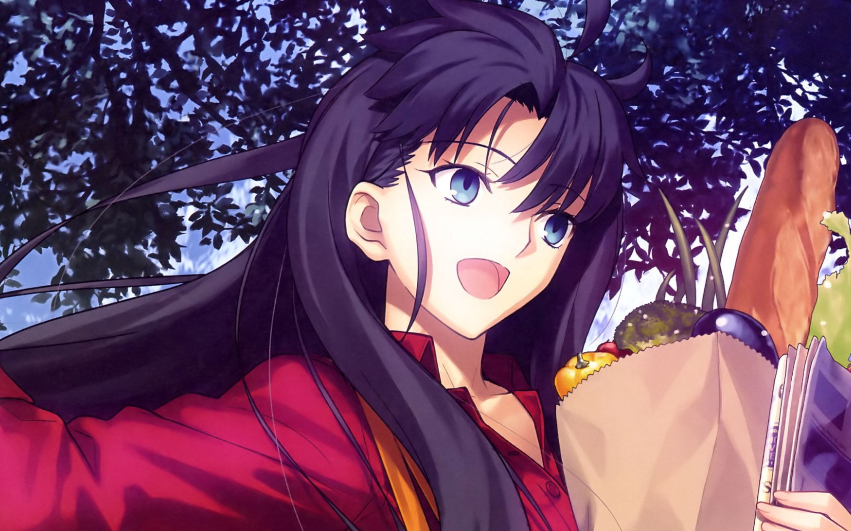 Тосака Рин, аниме Ночь прибытия