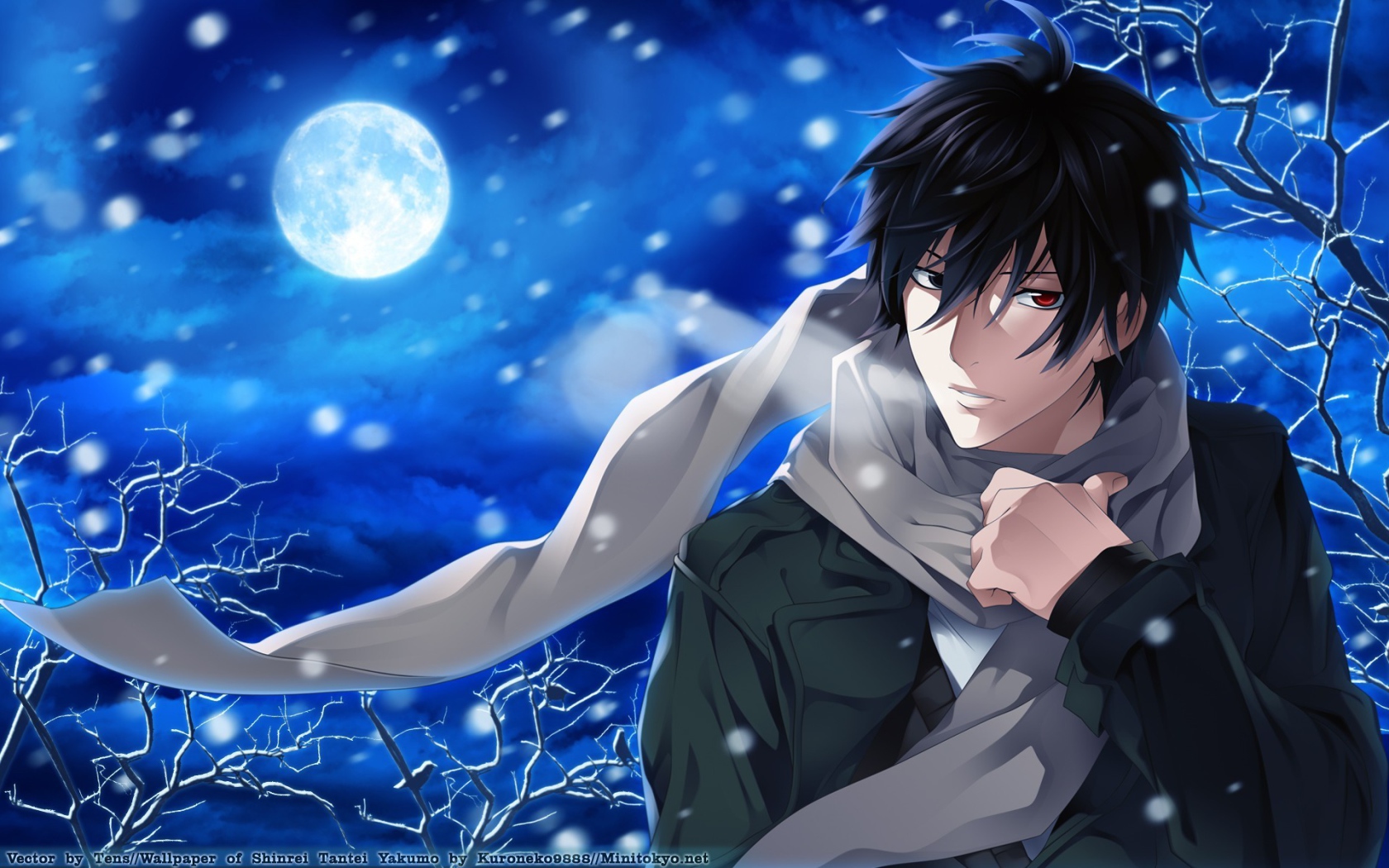 Якумо из аниме Shinrei Tantei Yakumo